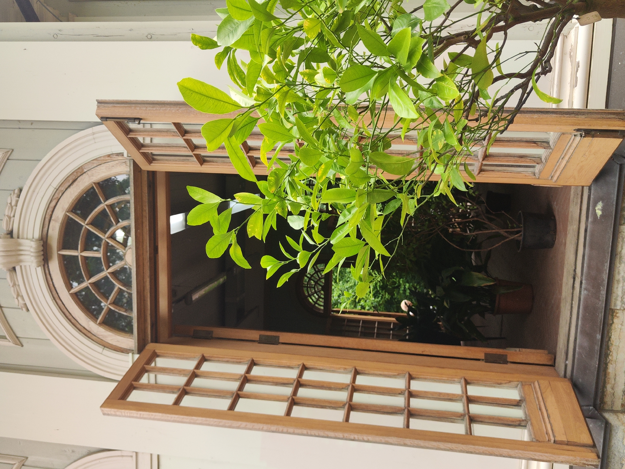 A close-up shot captures lush green foliage from a tree or plant hanging over an open wooden window and door frame. The window is divided into a grid of small panes. Through the open doorway, more greenery and potted plants are visible, suggesting an indoor garden or atrium. In the background, a circular window with a lattice design can be seen. The exterior of the building features cream-colored siding and ornate architectural details around the circular window. The lighting suggests it is daytime, possibly overcast. The scene evokes a sense of tranquility and natural beauty. There is no visible text in the image.