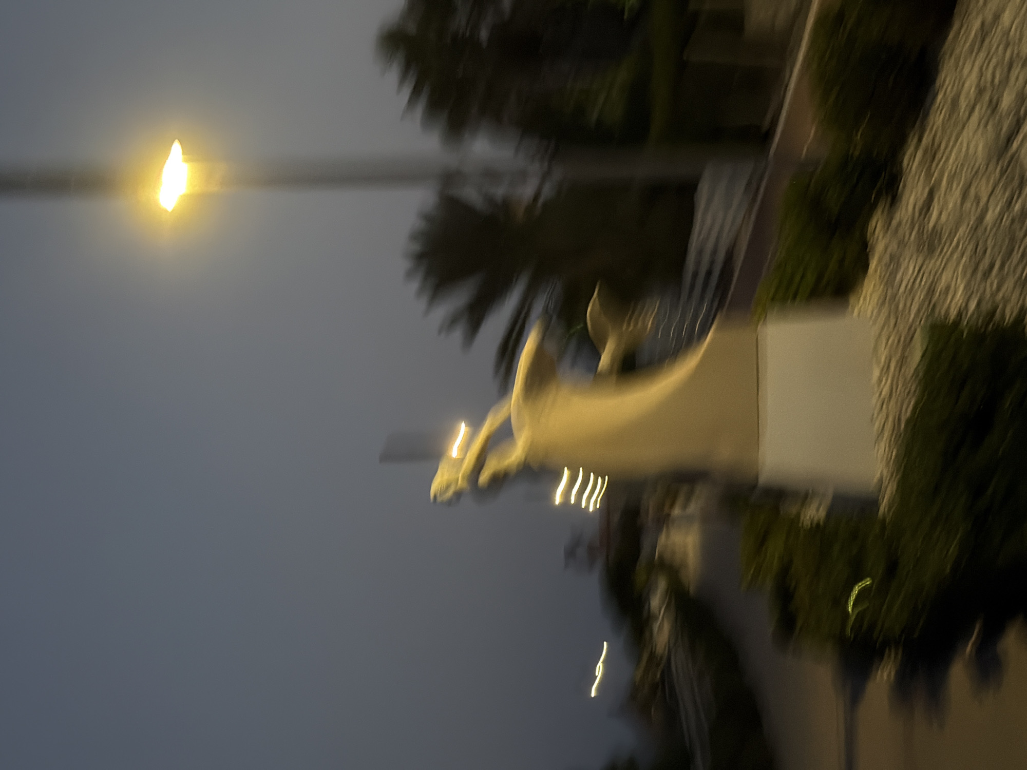 The image, taken at dusk or night in Meneou, Cyprus, depicts a blurred, abstract scene dominated by motion blur. A central, light-colored statue, possibly of a winged figure, is heavily distorted. To its right, a bright streetlamp casts a yellow glow on a pole, further blurred by movement. In the background, silhouetted palm trees are indistinct shapes against the dark, overcast sky. The foreground shows a path or walkway with textured gravel and some foliage, all rendered as streaks of color due to the camera's movement. Several blurred yellow streaks, possibly from other lights or reflections, are visible throughout the image.