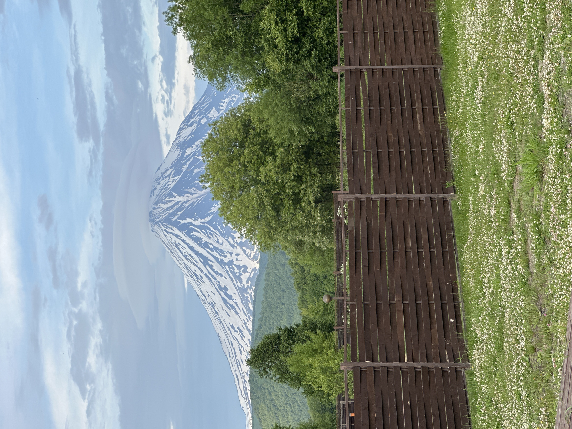 The image depicts a landscape dominated by a snow-capped mountain in the background, likely Mount Koryaksky, visible from Yuzhnyye Koryaki, Russia. The mountain's peak is partially obscured by lenticular clouds. In the foreground, a wooden fence made of horizontal planks runs across the frame. Beyond the fence, a lush green lawn dotted with small white flowers stretches towards the trees. The trees are a mix of deciduous and coniferous species, with vibrant green foliage. The sky is partly cloudy, with soft, diffused light. The overall scene suggests a rural or semi-rural setting with natural beauty and a prominent volcanic peak.
