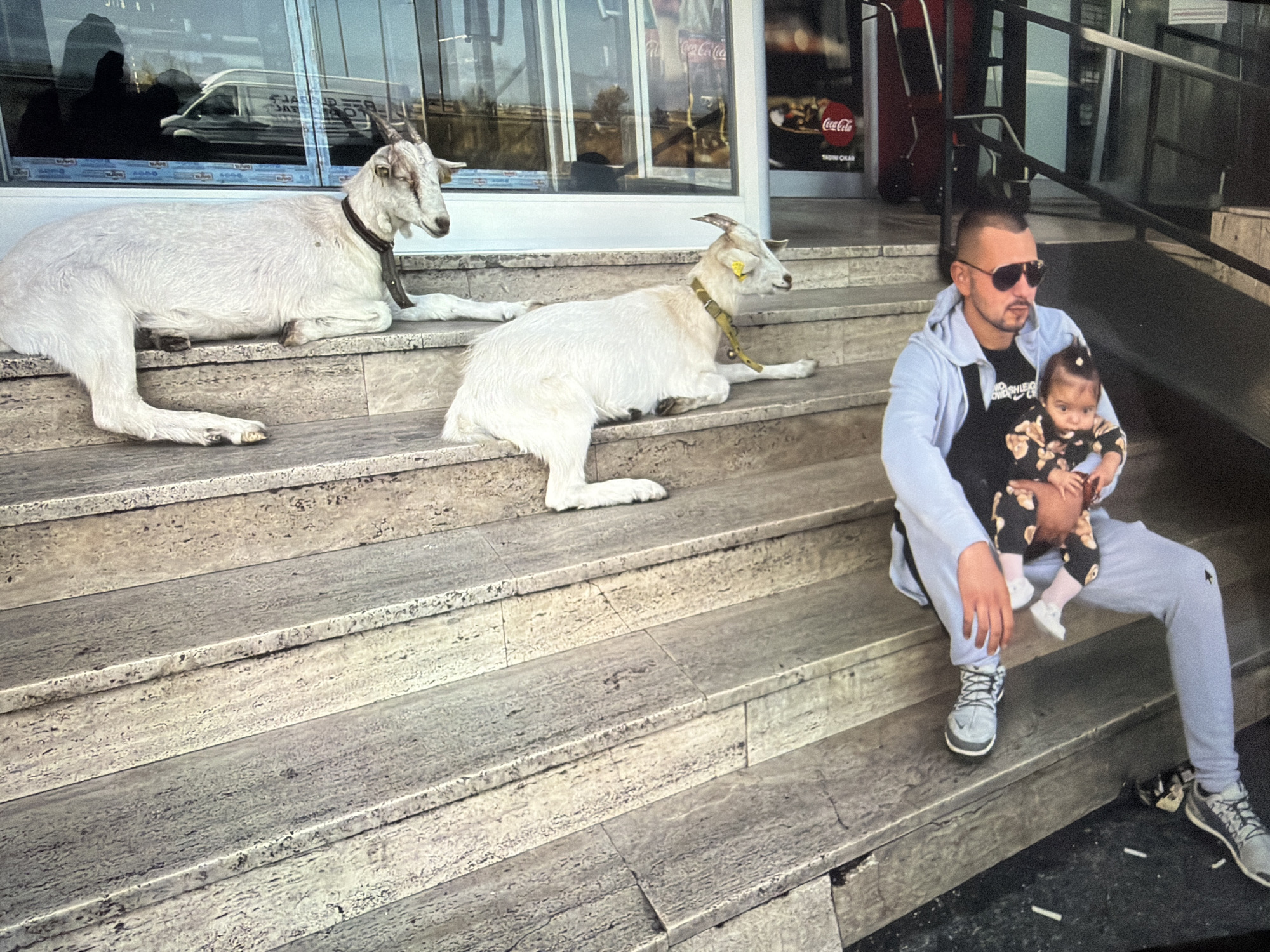 Outside a building in Burgas, Bulgaria, a man wearing sunglasses and athletic clothing sits on stone steps, holding a young child dressed in a printed onesie and white socks. Two white goats with collars lie on the steps above them. Behind the man and child is the entrance to a building with Coca-Cola signage. A van is visible in the reflection of the building's glass windows. Cigarette butts and a pair of shoes lie on the ground next to the man.