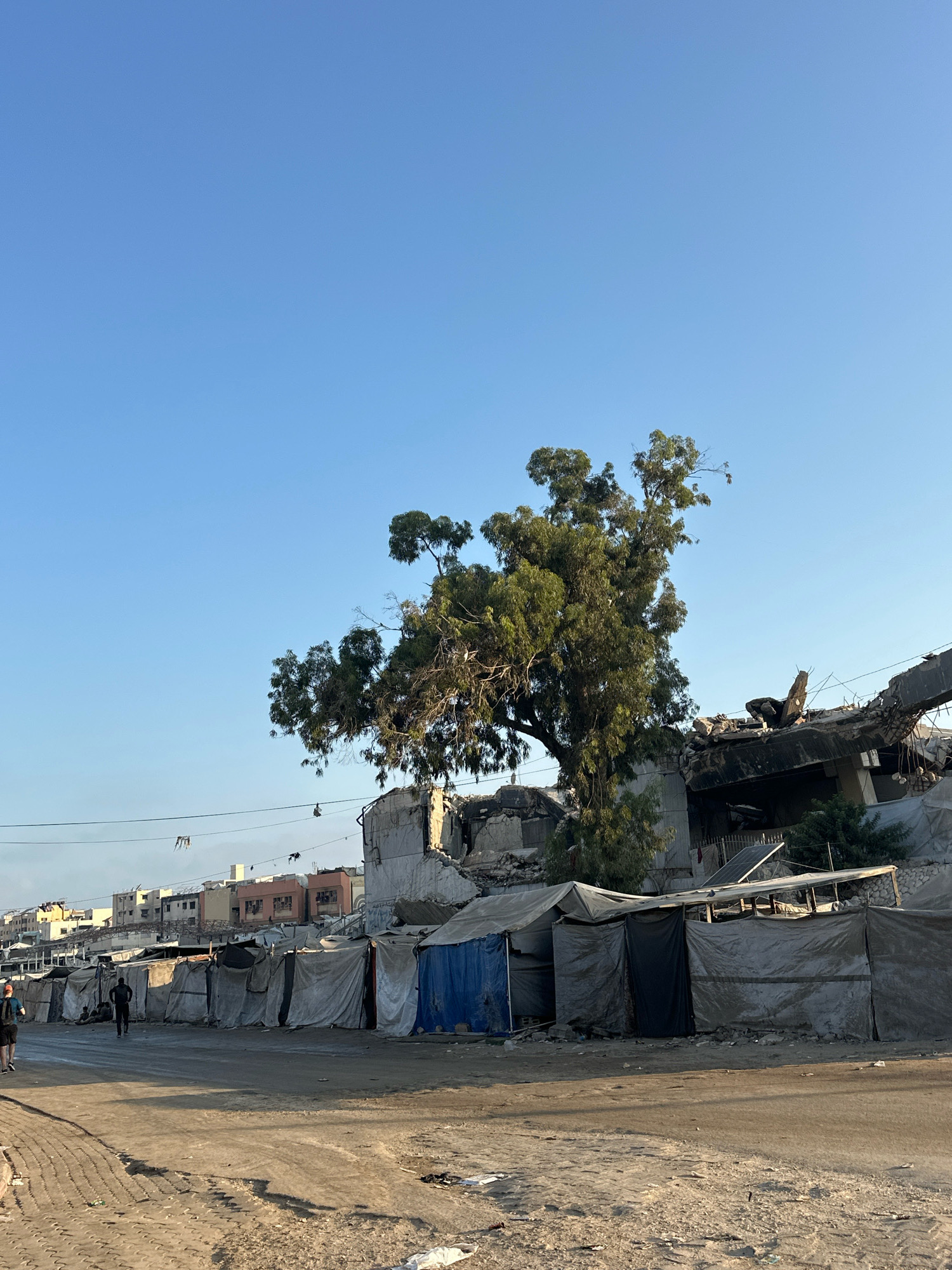 The image depicts a street scene in Gaza, Palestinian Territories, characterized by significant destruction and makeshift shelters. A large, leafy tree stands prominently in the foreground, partially obscuring a damaged building. The building's structure shows signs of severe damage, with exposed rebar and rubble. In front of the damaged structure, a row of temporary shelters, constructed from tarps and fabric, lines the street. These shelters appear to be of various sizes and colors, including white, blue, and black.
The street itself is unpaved and dusty, with debris scattered across the surface. In the background, a line of apartment buildings can be seen, some of which also appear to be damaged or under construction. The sky is clear and blue, suggesting daylight. Two individuals are visible on the street: one person is walking away from the camera on the left, while another person is walking towards the center of the image. Several other individuals are seated or standing near the temporary shelters in the middle ground. Overhead, power lines stretch across the scene, some with objects hanging from them. The overall impression is one of displacement and resilience in a war-torn urban environment.