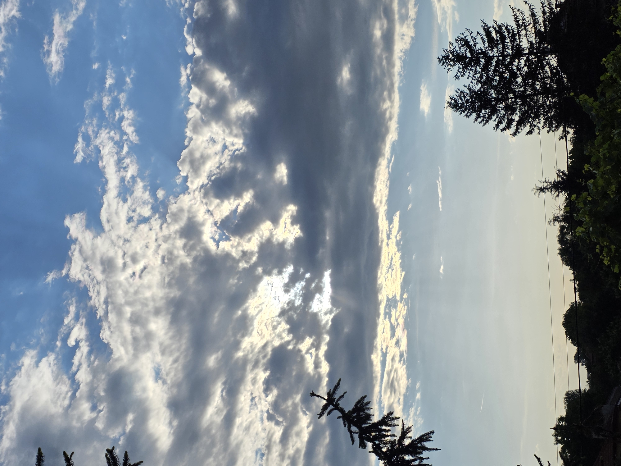 The image depicts a sky with scattered clouds in Yagodovo, Bulgaria. Some clouds are light and feathery, while others are darker and more dense. The sun is partially obscured by the clouds, creating a contrast between light and shadow. Tree silhouettes are visible along the top and bottom edges of the frame. A few utility wires are visible against the lighter sky.
