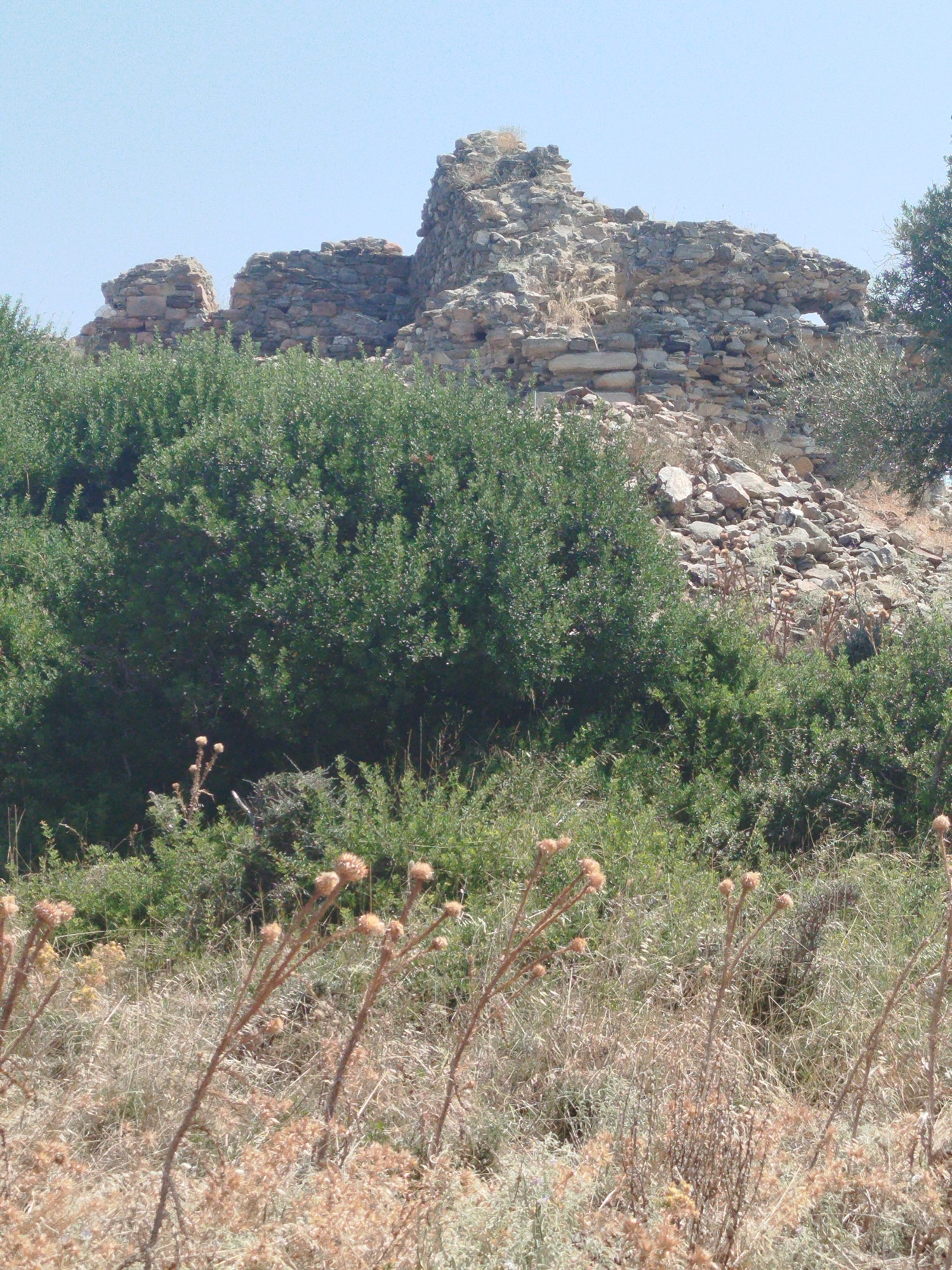The image shows a section of ancient ruins on a hillside, likely in the Sithonia Municipal Unit, Greece. The ruins are constructed of stone and appear to be several hundred years old, with portions of walls and possibly structures still standing. The ruins are partially overgrown with vegetation, including green bushes and dried grasses with seed heads. The sky is clear and blue. The foreground is filled with dried grasses and plants, some with spiky seed heads. The overall impression is one of a historical site weathered by time and surrounded by natural growth.