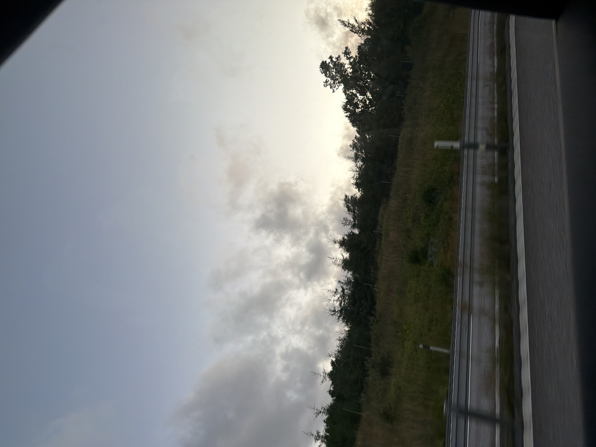 The image captures a view from a moving vehicle, likely on a highway. The foreground shows a portion of the road and a concrete barrier with a metal railing. Beyond the barrier, a grassy embankment slopes upwards, dotted with trees and vegetation. The sky above is overcast with diffused light, suggesting either early morning or late evening. The scene appears to be in a rural or semi-rural area. Based on the visual cues, this scene is consistent with a highway location in or near Tanumshede, Sweden, a municipality known for its scenic roads and natural landscapes.
