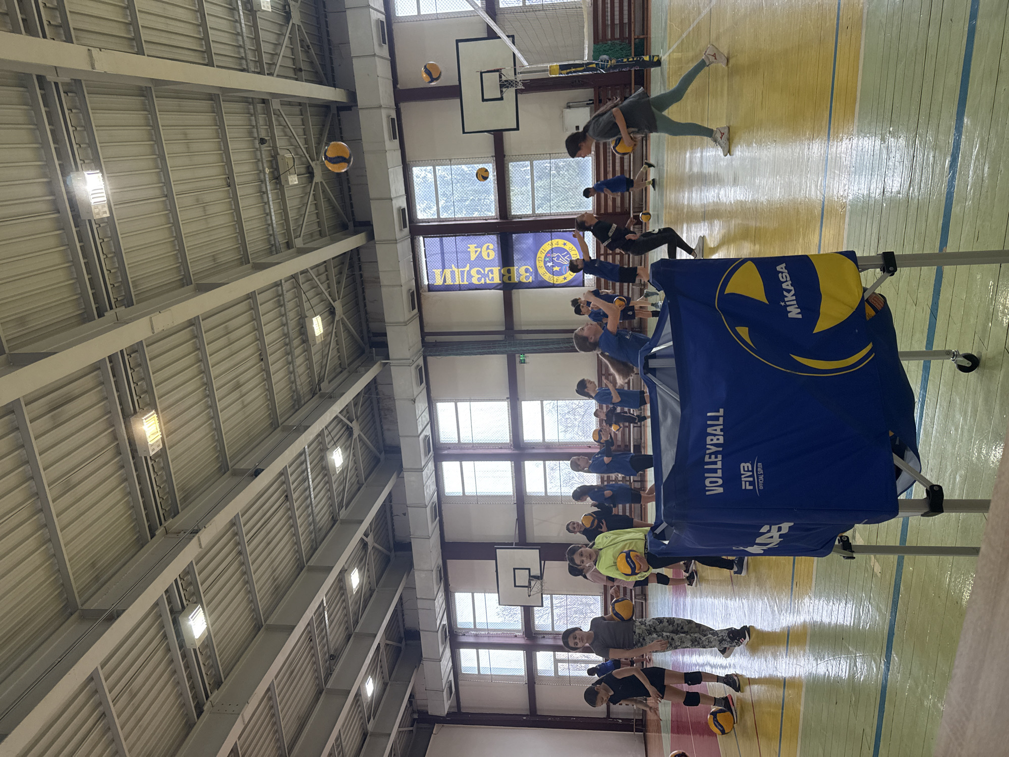 The image depicts an indoor volleyball training session occurring within a gymnasium in Sofia, Bulgaria, as indicated by a prominent blue banner displaying "ЗВЕЗДИ 94" (Zvezdi 94), consistent with the "Zvezdi 94" Volleyball Club. Approximately 15-20 young female individuals, appearing to be 10-16 years of age, are present on a multi-sport court. They are dressed in athletic attire, including t-shirts, shorts or leggings, and sneakers; several wear knee pads.
The gymnasium features a high, light-colored corrugated metal ceiling with exposed structural beams and rectangular LED light fixtures. Large, multi-pane windows line the background wall, admitting natural light. The wooden floor is marked with yellow, green, red, and blue lines for various sports. Basketball backboards with hoops are mounted on the wall against the windows. A volleyball net with poles is installed across the court.
Numerous yellow and blue volleyballs are visible throughout the scene; several are suspended in mid-air, indicating active play or drills. Individuals are observed holding volleyballs, moving across the court, and looking towards airborne balls. In the foreground, a blue portable ball cart, branded with "VOLLEYBALL," "FIVB OFFICIAL SUPPLIER," and "MIKASA," is positioned on the right.