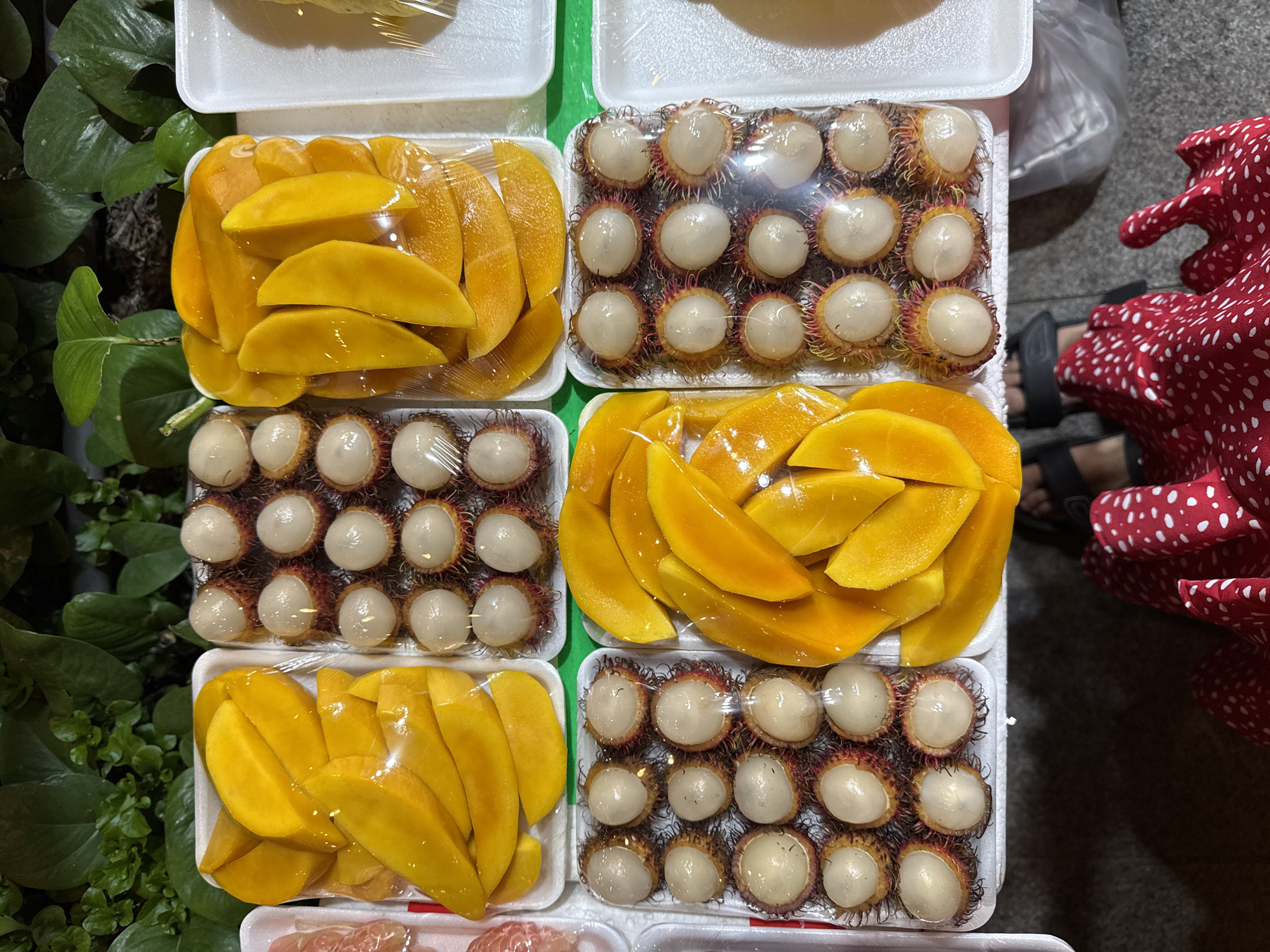 This is an overhead shot depicting a vibrant display of pre-packaged fresh fruit, likely at an outdoor market or street stall in Nha Trang, Vietnam.
The primary subjects are eight white styrofoam trays filled with fruit, each individually covered with clear plastic wrap. Four of these trays contain bright yellow-orange mango slices, neatly arranged in a fan-like pattern. The other four trays hold peeled rambutans, showcasing their translucent white flesh with faint red-pink hints from their original skin, also arranged in orderly rows. The fruit appears fresh and appealing.
To the left of the fruit display, lush green foliage is visible, suggesting a natural outdoor setting or potted plants adorning the stall. To the right, part of a person is visible, including their lower legs and feet clad in dark sandals, and a portion of a red garment with white polka dots. This person's presence indicates human activity around the stall, possibly a customer browsing or the vendor tending to the display. A grey plastic bag is also discernible on the ground near the person's feet.
The lighting appears to be artificial, casting some reflections on the plastic wrap, which suggests the photograph was taken during the evening or night, a common time for bustling markets in Vietnam. There is no visible text in the image. The overall scene conveys a sense of local commerce and the availability of fresh tropical produce.