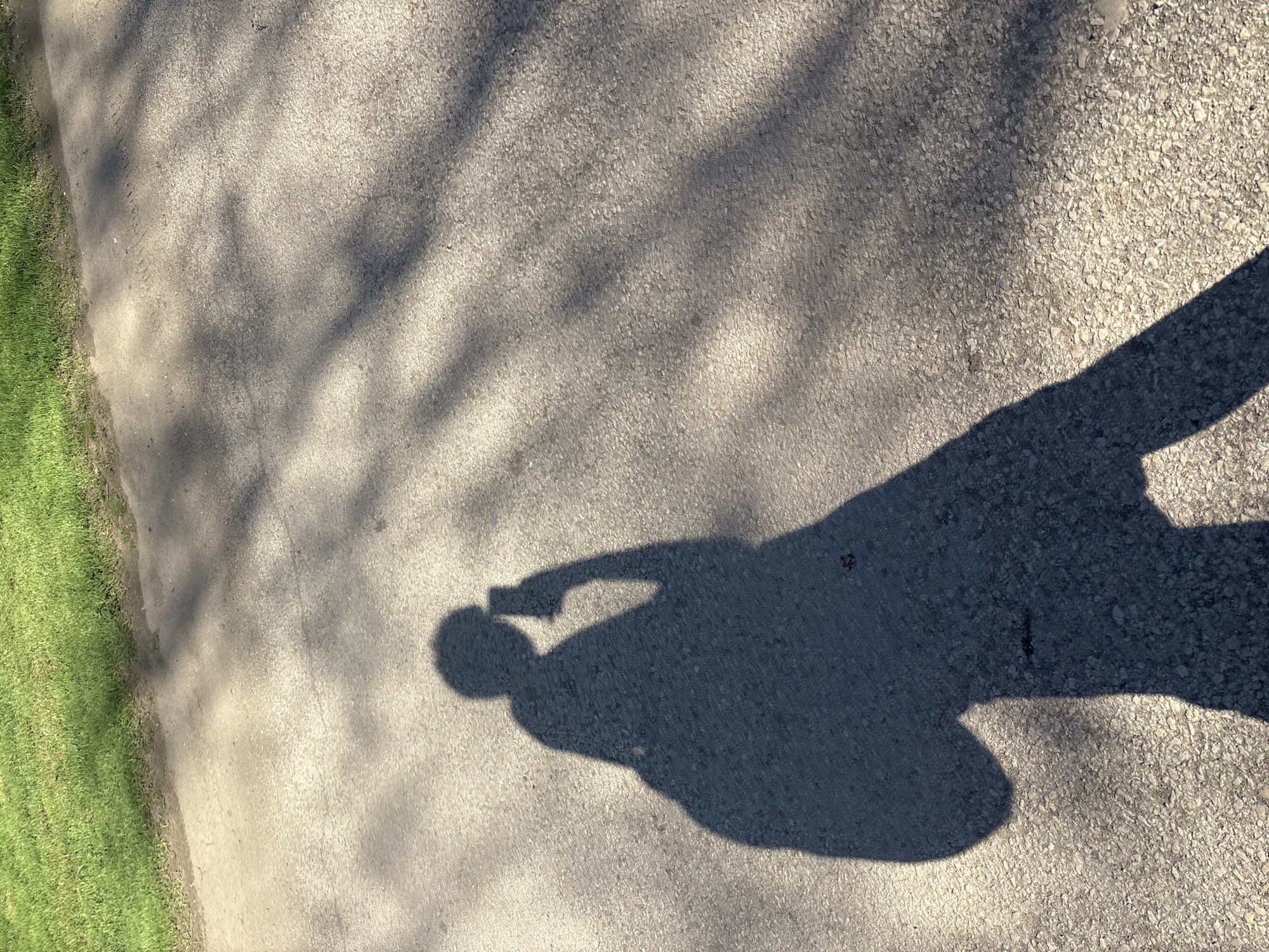 The image shows a section of a paved path or road in Lehchevo, Bulgaria. The area is adjacent to a strip of green grass. Overlapping the pavement are shadows of trees and a human figure holding a phone. The shadow of the human figure is distinct, indicating a low sun angle. The overall scene depicts an outdoor environment on a sunny day.