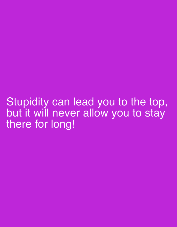 The image is a purple background with white text in the center of the frame. The text reads: "Stupidity can lead you to the top, but it will never allow you to stay there for long!" There is no indication of a location or city in the image.
