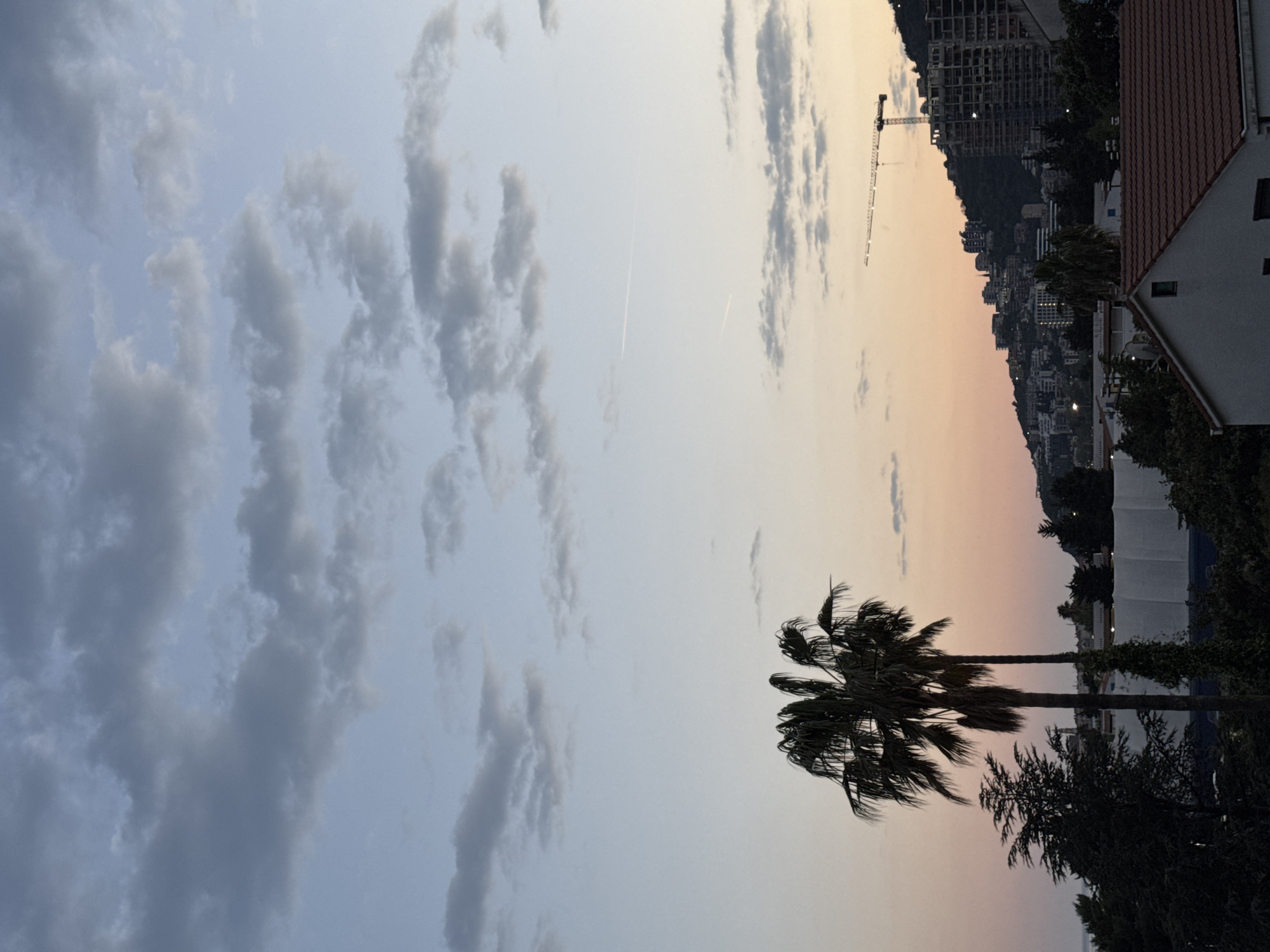 The image shows a coastal urban landscape in Budva, Montenegro. In the foreground, a palm tree stands near other foliage. In the background, buildings are densely packed along a hillside, including a partially constructed high-rise building with a visible crane. The sky transitions from cloudy to a sunset gradient. A contrail is visible in the sky. A white building with a red tile roof is located next to the foliage.