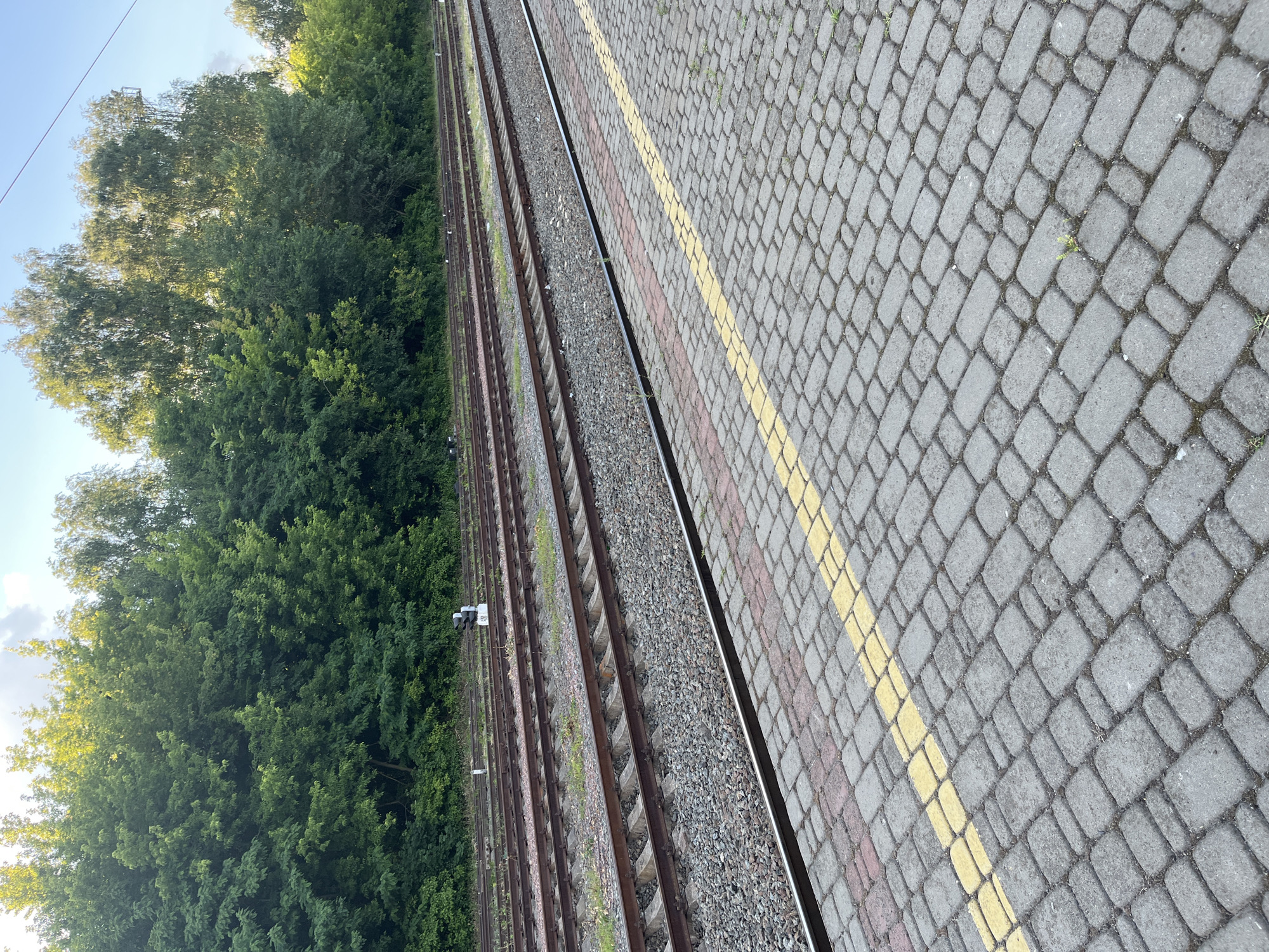 The image depicts a train station platform in Kyiv, Ukraine. The platform is paved with grey interlocking bricks, marked with a yellow safety line. Several sets of train tracks run parallel to the platform, bordered by gravel and grass. Beyond the tracks, a dense line of green trees forms a natural backdrop, with some taller trees reaching towards a clear blue sky. A white signal post with black and white lights is visible next to the tracks. The scene is lit by natural sunlight, suggesting it is daytime. No people are present in the image.