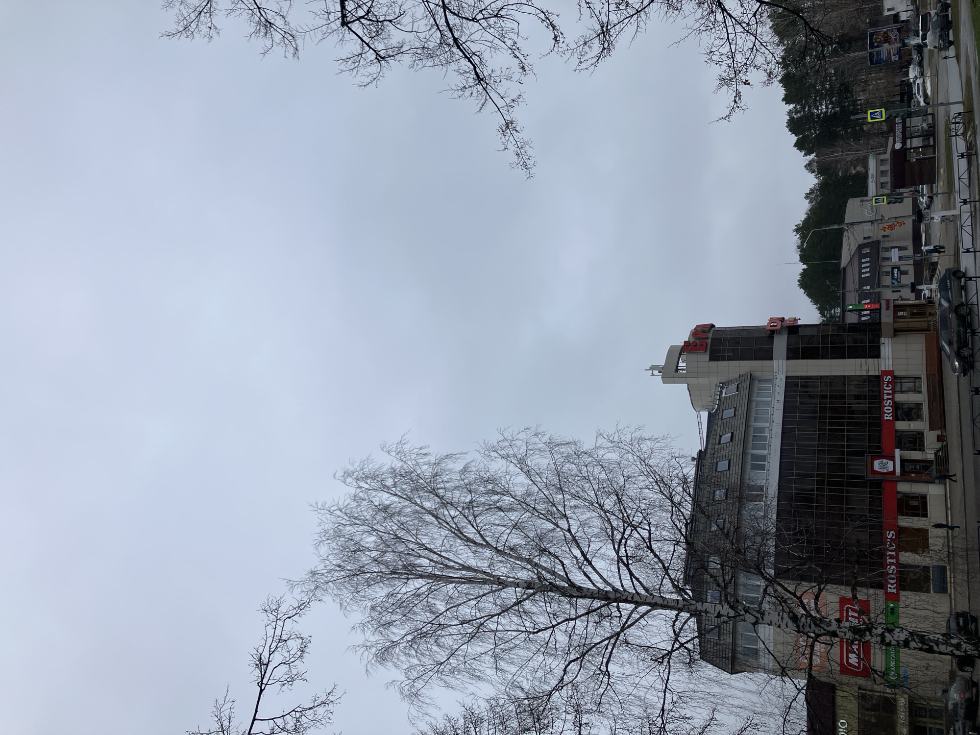 The image, taken in Chaikovsky, Russia, shows a view looking upwards towards a multistory building with commercial signage, including what appears to be "ROSTIC'S" displayed vertically. The sky is overcast and grey. Bare tree branches are visible in the foreground, framing the top and bottom of the image. Other buildings, trees, and a street with vehicles can be partially seen to the right of the main building.