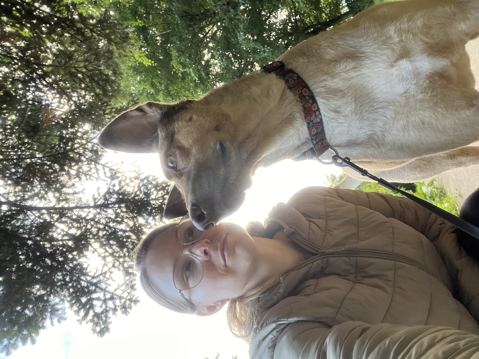A woman wearing glasses and a tan puffer jacket is taking a selfie with her dog. The dog, a light brown German Shepherd mix with large ears, is sniffing the woman's face. They are outdoors, with trees and sunlight in the background. The image appears to have been taken in a park or wooded area in Saint Vith, Belgium. The overall lighting suggests it is daytime, likely late afternoon due to the warm, golden light filtering through the trees. The woman's expression is neutral, while the dog's focus is entirely on her. The collar on the dog has a floral pattern.