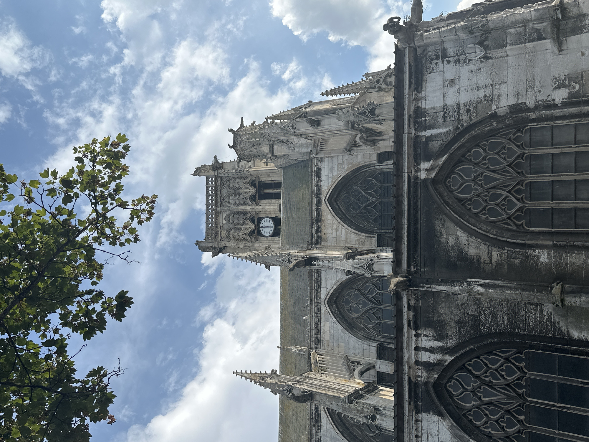 The image shows a low-angle shot of the historic Saint-Jacques Church in Dieppe, France, against a backdrop of a partly cloudy blue sky. The architecture is Gothic, characterized by intricate stonework, pointed arches on the windows, and ornate spires. Gargoyles perch on the edges of the building. In the upper portion of the church's facade, a clock is visible. Tree branches with green leaves hang from the top left corner of the frame, obscuring a small part of the sky and the upper sections of the church. The stonework of the church appears weathered and aged, with some dark staining on the lower sections. No people are visible in the image.