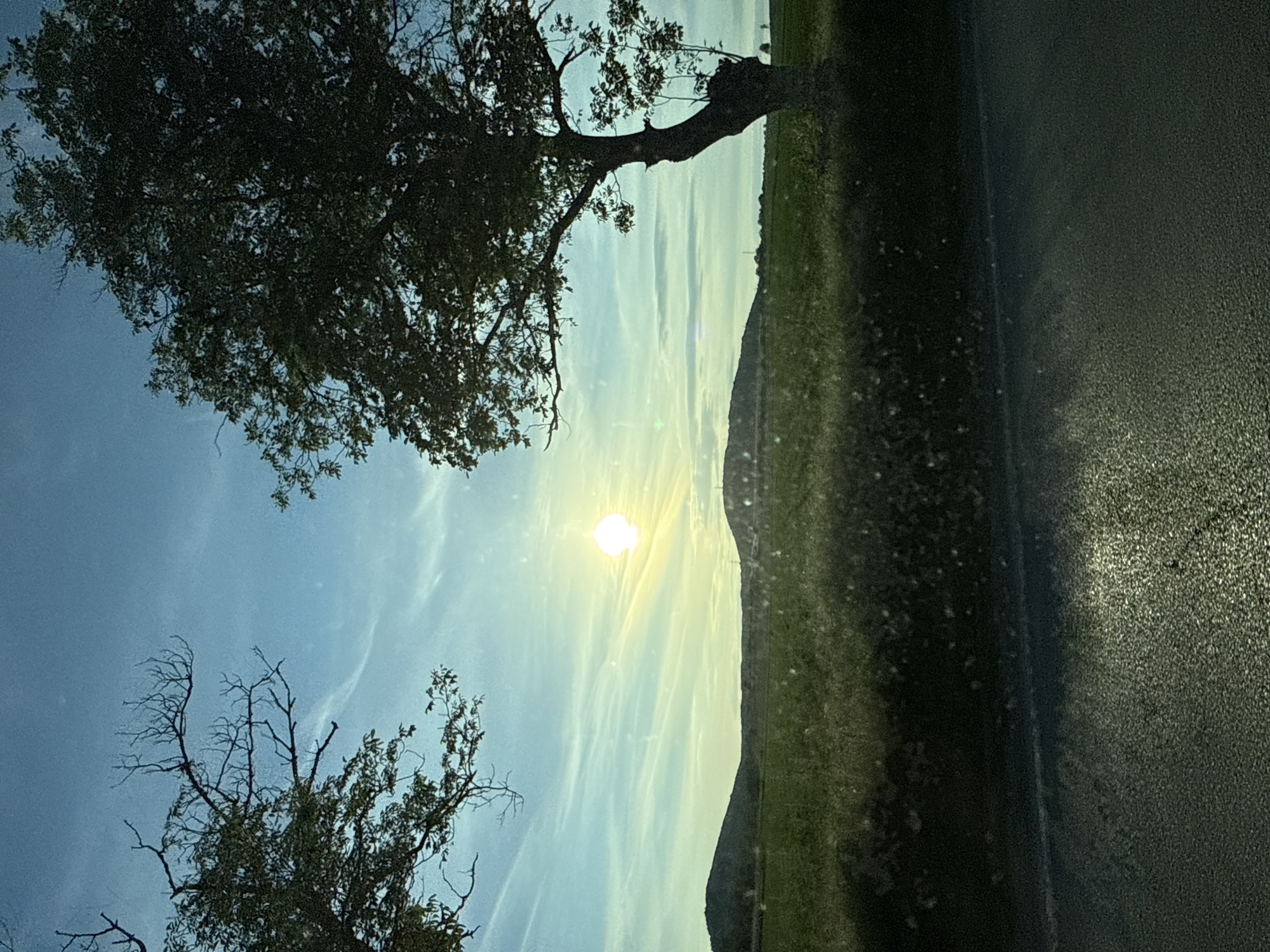 The image shows a rural landscape at sunset. Two trees, one with full foliage and another with bare branches, frame the view. The sun is visible in the center of the image, with wispy clouds radiating outwards. To the right, a dark hill or elevated terrain is covered in green vegetation. A dark gray area, possibly a road surface or a dirty window, occupies the lower right portion of the image. The location, Slavyani, Bulgaria, is not evident within the image itself, but the landscape may be indicative of the region. There are no people or other subjects depicted in the photo.