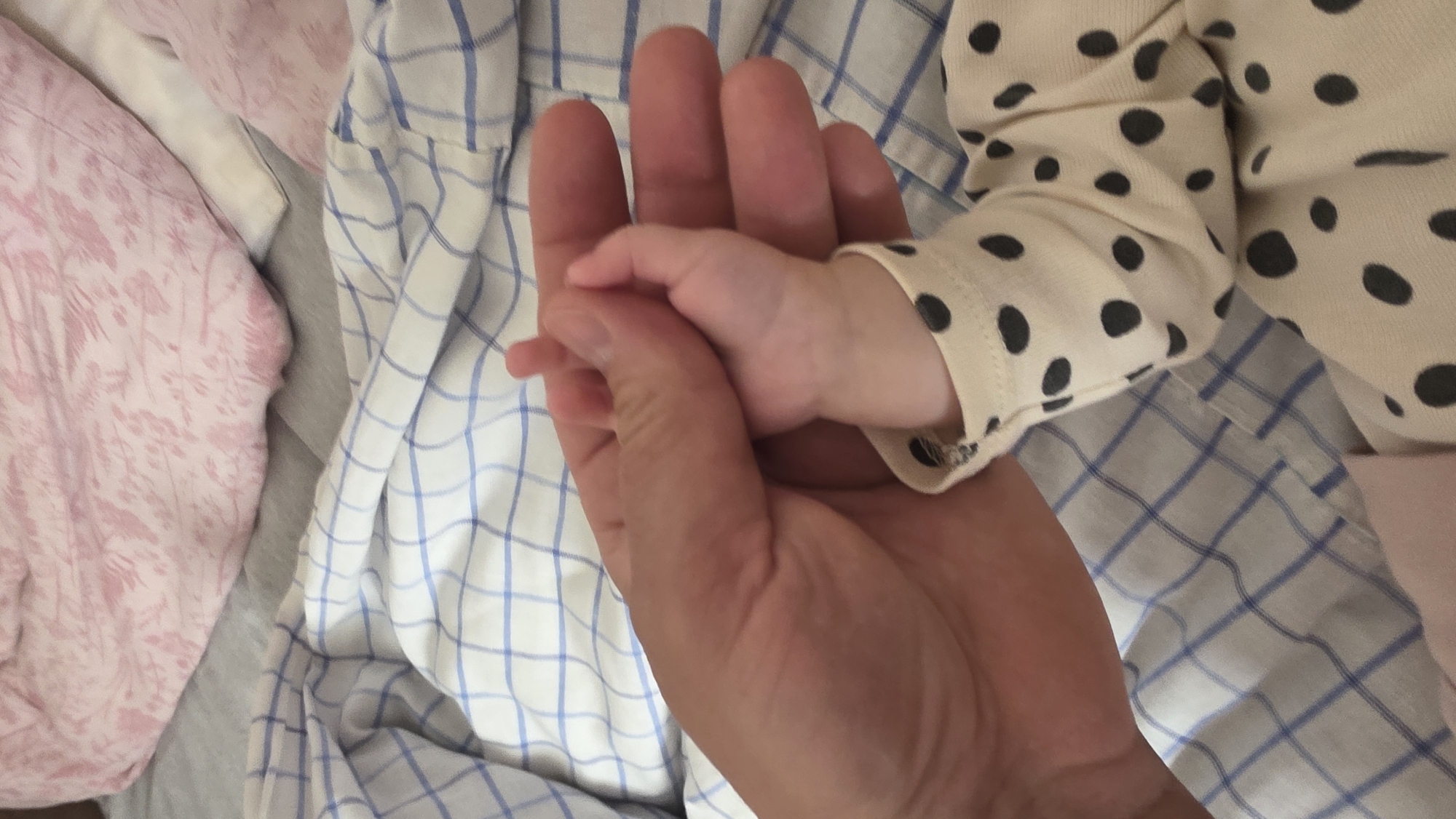 An adult hand holds a baby's hand. The baby is wearing a light-colored, long-sleeved outfit with black polka dots. The background consists of bedding with various patterns, including a white and blue grid pattern and a pink floral pattern. The location is not discernible from the image.