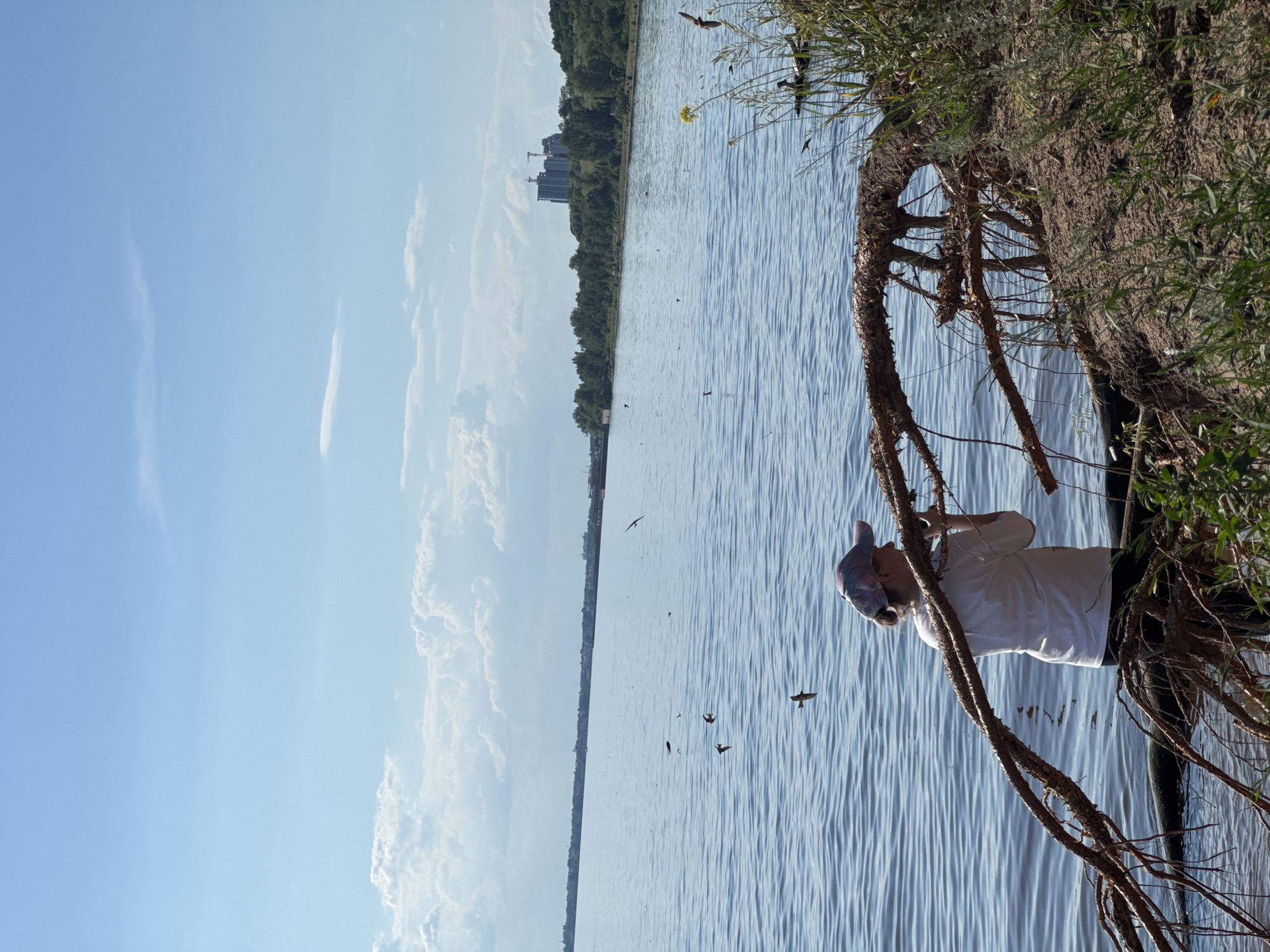 The image depicts a person wearing a fish mask and a white t-shirt, standing on the edge of a body of water. The person is partially obscured by exposed tree roots, which cling to a dirt bank. The water is rippled and reflects the bright sky. Several birds are visible flying over the water. In the distance, a tree-lined shore with buildings and cranes can be seen. The sky is clear and blue with some scattered white clouds. The scene suggests a sunny day, likely in the late morning or early afternoon. The overall atmosphere is serene and natural.