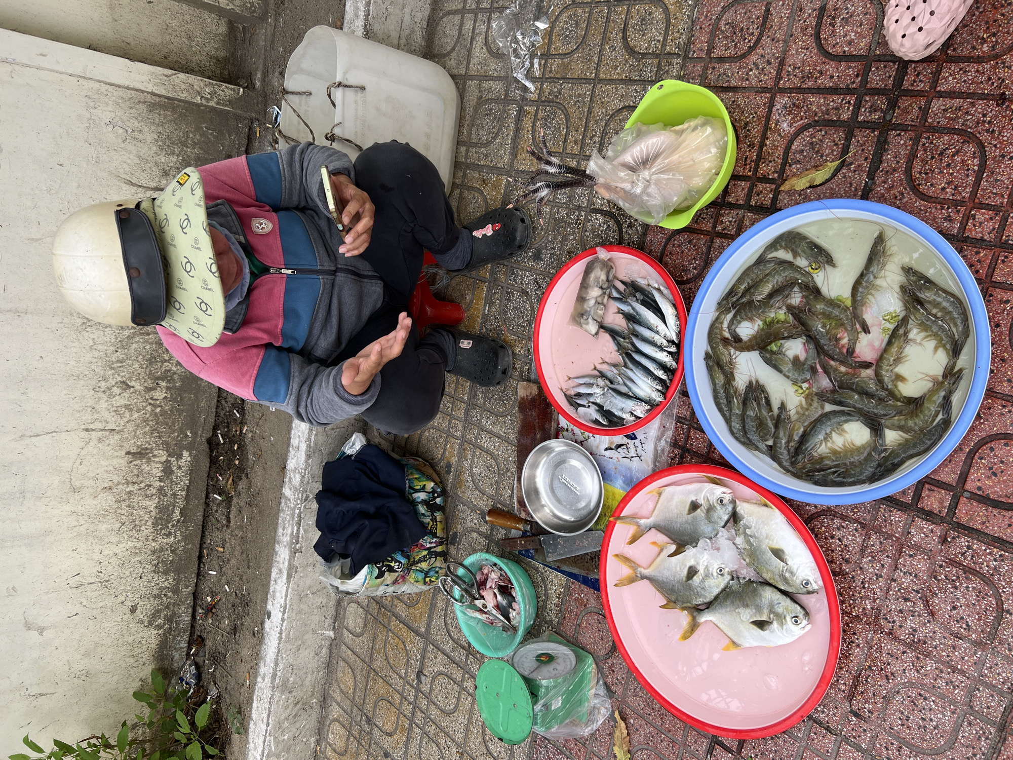 A person is crouched down on a sidewalk in front of a wall, examining a mobile phone. The person is wearing a pink and blue jacket, black pants, black clogs, and a white helmet with a wide, green visor featuring a repeating pattern. The person's hands are visible, holding the phone.
Scattered around the person on the ground are various items of produce, suggesting a street market scene. To the left, a green scale with a plastic bag is visible. Next to it, a green bowl contains cut fish and a pair of scissors. A knife and a small metal bowl are also present.
In front of the person, three circular trays hold seafood. A pink tray contains four whole fish on ice. A red tray holds a pile of small, silvery fish. A blue tray is filled with shrimp. To the right, a green bowl holds a package of raw chicken.
The environment appears to be an outdoor urban setting, with a concrete wall in the background and a patterned tiled sidewalk. There are also some cigarette butts scattered on the ground near the wall. The overall impression is of a street vendor selling seafood and other items.