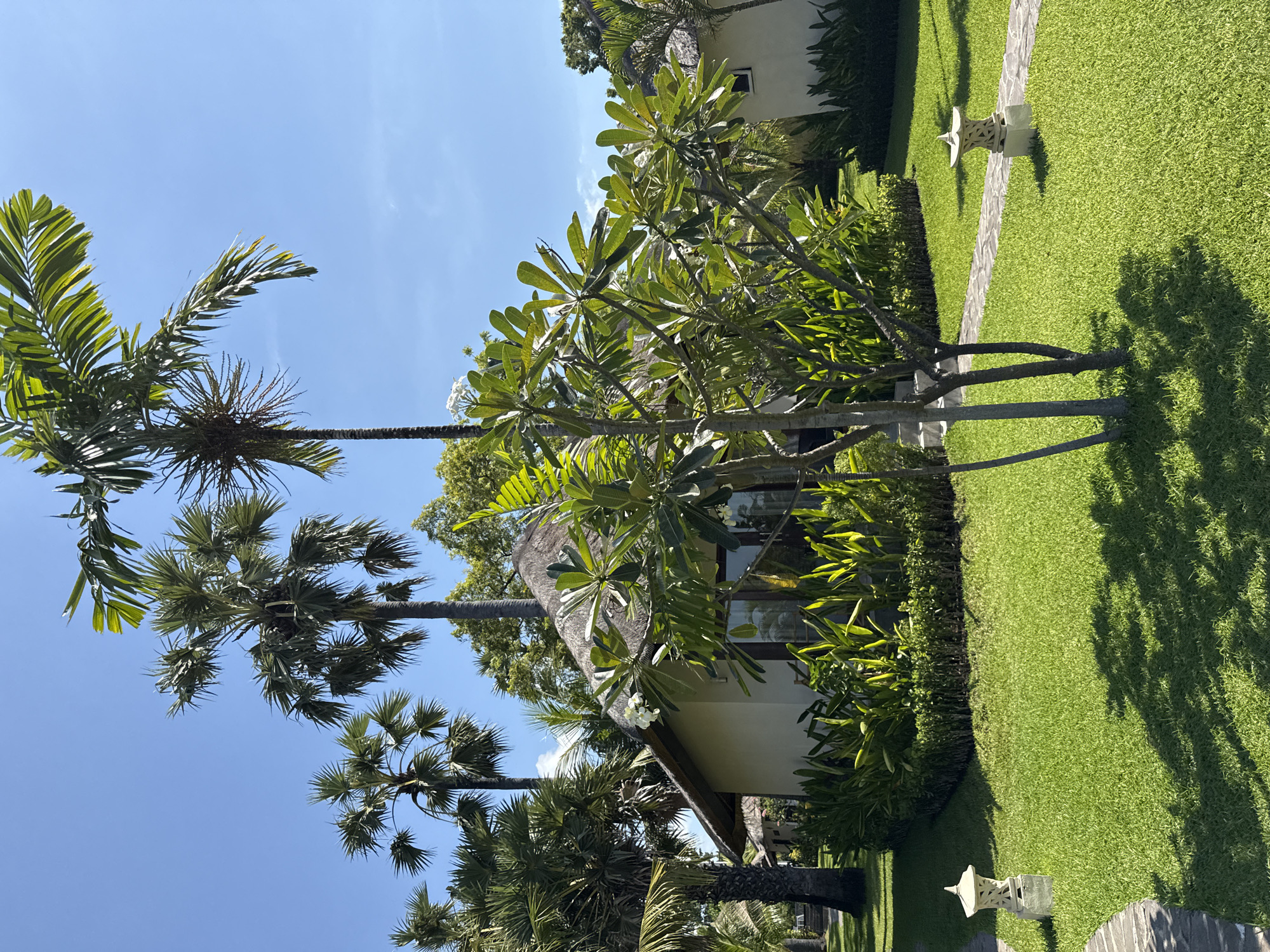 The image depicts a well-maintained garden with a thatched-roof bungalow and lush tropical vegetation under a clear blue sky. The bungalow is low-rise with cream-colored walls and large windows. It is surrounded by vibrant green grass, palm trees, and flowering plants. Two stone lanterns are placed along a stone pathway that winds through the lawn. The scene suggests a resort or a private villa in a tropical location, likely in Kubu, Indonesia, given the architectural style and vegetation. The overall impression is one of tranquility and natural beauty.
