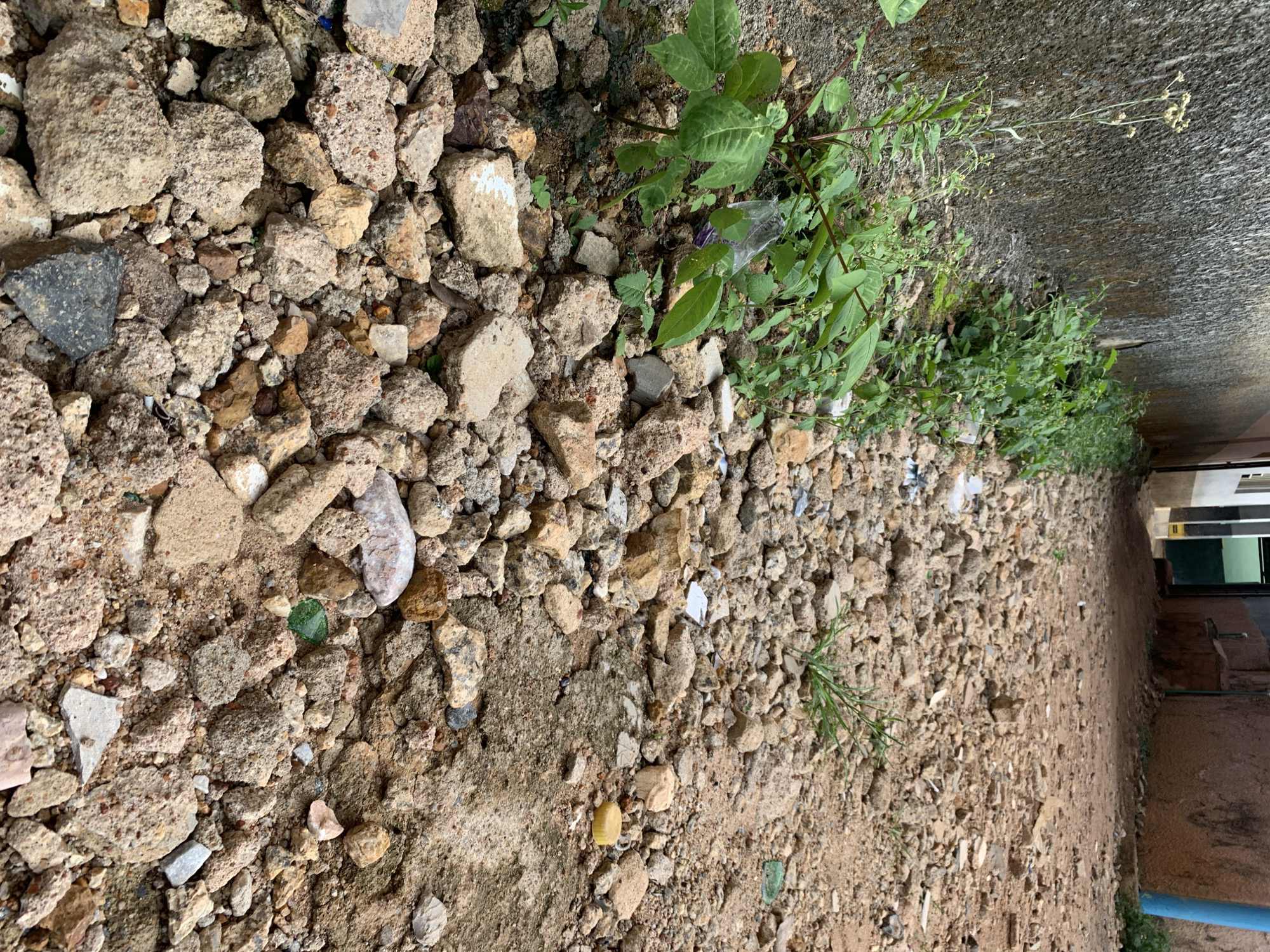 The image depicts an unpaved, narrow pathway or alleyway in Kabong, Nigeria. The ground surface consists primarily of dry, loose earth mixed with numerous pieces of construction debris, including broken concrete, various sized rocks, and fragments of light-colored tile. Along the left side of the pathway, a textured, stained, dark grey wall extends into the distance. A strip of green vegetation, including broad-leafed plants and taller weeds with small white flowers, grows along the base of this wall. Scattered amongst the debris on the ground are various items of litter, such as pieces of green broken glass, a clear plastic bottle partially hidden by plants, and a yellow plastic bottle cap. The pathway recedes into the background, where several structures are visible, including a building with a dark entrance and another with a brownish-orange wall and a vertical blue pipe. No individuals or animals are present. The scene is static, captured under natural light.
