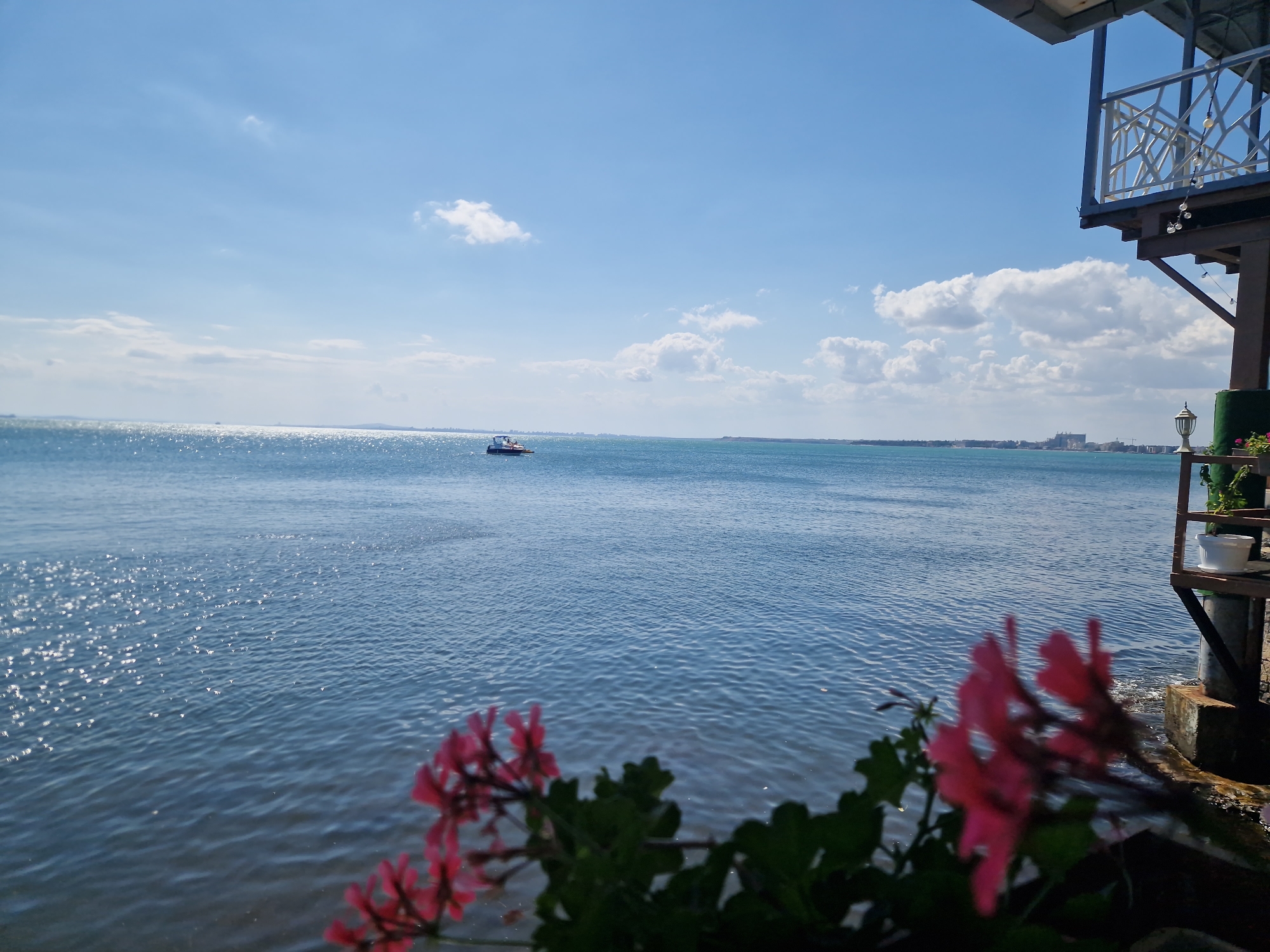 The image depicts a scenic view of the Black Sea coastline from an elevated vantage point, likely a restaurant or balcony, in Pomorie, Bulgaria. In the foreground, out-of-focus pink flowers and dark green foliage are visible, framing the expansive blue water. The sea is calm with gentle ripples and sunlight glinting off its surface. A small boat is visible in the middle distance, sailing on the water. Along the horizon, a low-lying coastline with buildings and structures can be seen. The sky is a bright blue with scattered white clouds. To the right of the frame, a wooden structure with a balcony railing, a lantern, and a white planter are present, suggesting a man-made structure overlooking the sea.