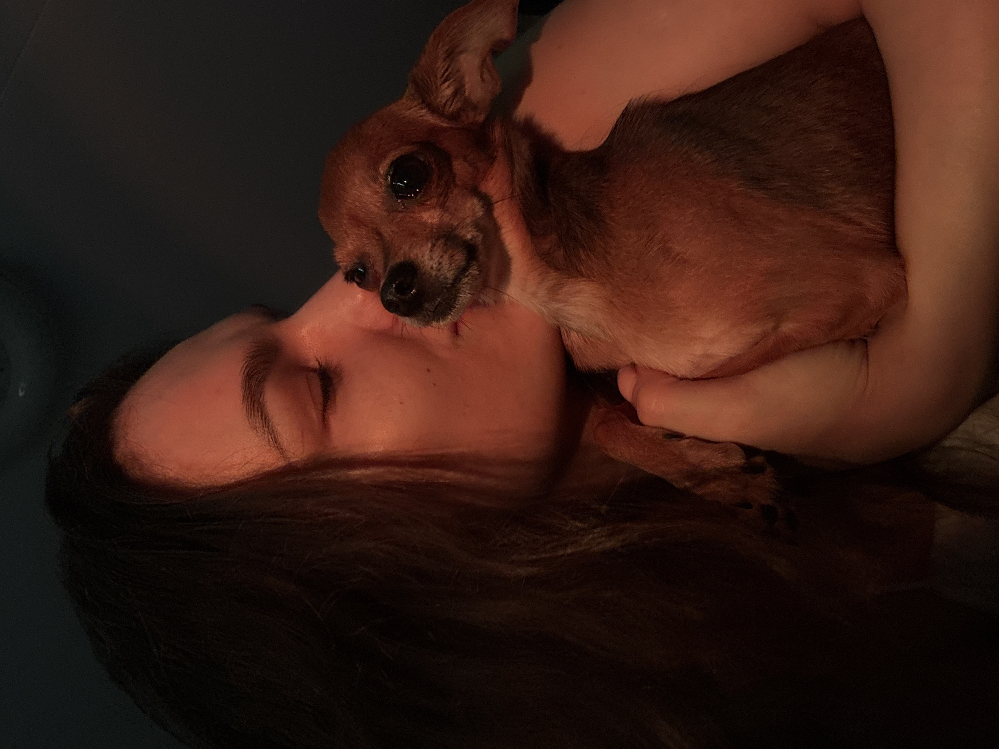 A close-up, side-profile photograph shows a young woman with long, dark hair gently kissing a small, brown Chihuahua-type dog. The woman's eyes are closed, and her face is illuminated by warm, artificial light, casting a reddish-orange glow. The dog's large, dark eyes are open, and its head is tilted slightly. The dog is held in the woman's arms, with its paw resting on her hand. The background is dark and out of focus, suggesting an indoor setting, possibly a home. The overall mood is tender and intimate. The image does not contain any specific visual cues to pinpoint its exact location within the city of Chaikovsky, Russia.