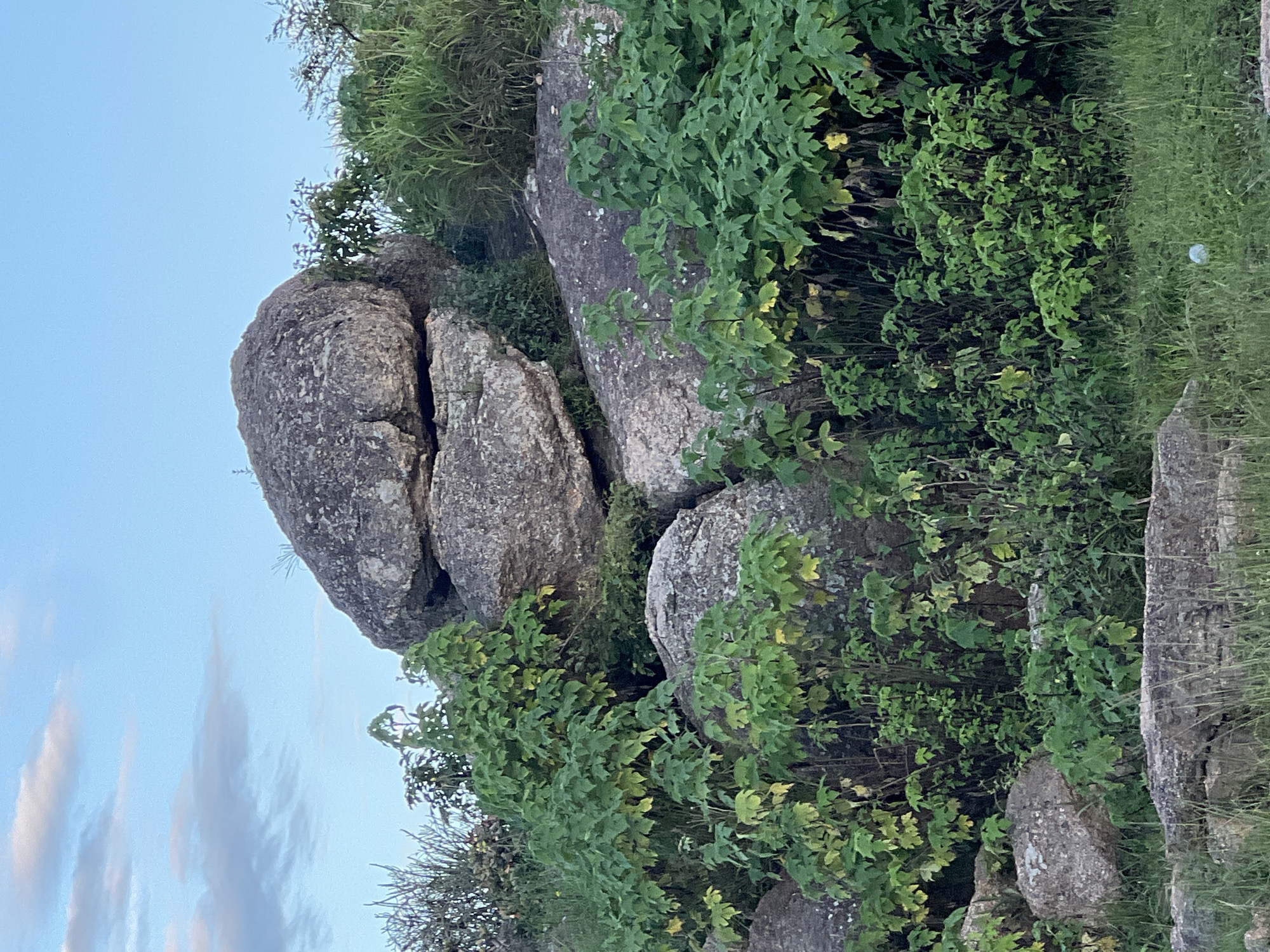 The image depicts a natural landscape with large granite boulders and lush green vegetation, consistent with the geology and flora found in and around Jos, Nigeria. The scene is dominated by a cluster of weathered rocks of various sizes, with a particularly prominent, rounded boulder perched atop others. Thick green bushes and grasses grow around and between the rocks, with some leaves showing a yellowish hue, suggesting a mix of healthy growth and perhaps seasonal changes. The sky above is a clear, light blue with a few wispy white clouds towards the upper left. The terrain appears to be sloping upwards, with the boulders forming a rocky outcrop. The overall impression is one of a serene, natural environment, likely a hillside or elevated area within or near the city of Jos. There are no people or man-made structures visible in the image.