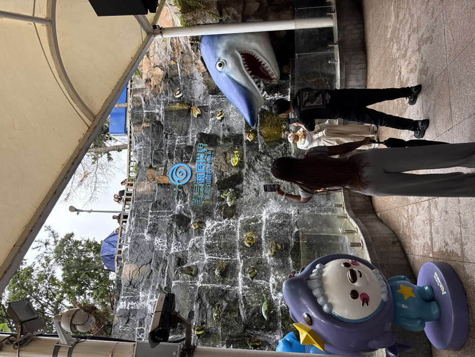The image depicts an outdoor viewing area at the Qingdao Underwater World in Shinan District, Qingdao, China. The scene features a large, multi-tiered artificial rock-face waterfall with water cascading downwards. Embedded within the rock-face are various artificial marine creatures, including colorful fish and sea turtles. Centered on the rock-face is a blue circular logo with a spiral design, accompanied by the Chinese characters "青岛海底世界" and the English text "Underwater World." To the right, a large, realistic blue and white shark head sculpture with an open mouth and exposed teeth protrudes from the rock-face. To the left, a purple and light blue anthropomorphic character statue, resembling a creature in a shark costume with a yellow star, stands on a matching base.
In the foreground, three individuals are present. A woman with dark, braided hair, wearing a grey short-sleeved top and grey wide-leg pants, stands with her back to the camera, holding a smartphone vertically to capture the scene. A folded black umbrella hangs from her left hand. To her right, a man with dark hair, wearing a black t-shirt with a graphic design and black pants, also stands with his back to the camera, holding a smartphone horizontally to photograph the scene. Between these two, a third person, wearing light-colored clothing, holds a small child dressed in yellow, both facing the waterfall.
The viewing area is covered by a light-colored fabric canopy supported by metal poles, and the ground is paved with grey and beige square tiles. On the far left, two surveillance cameras are mounted on a vertical pole. Above the waterfall, on an elevated platform, several additional people are visible behind a railing, with trees and an overcast sky in the background.