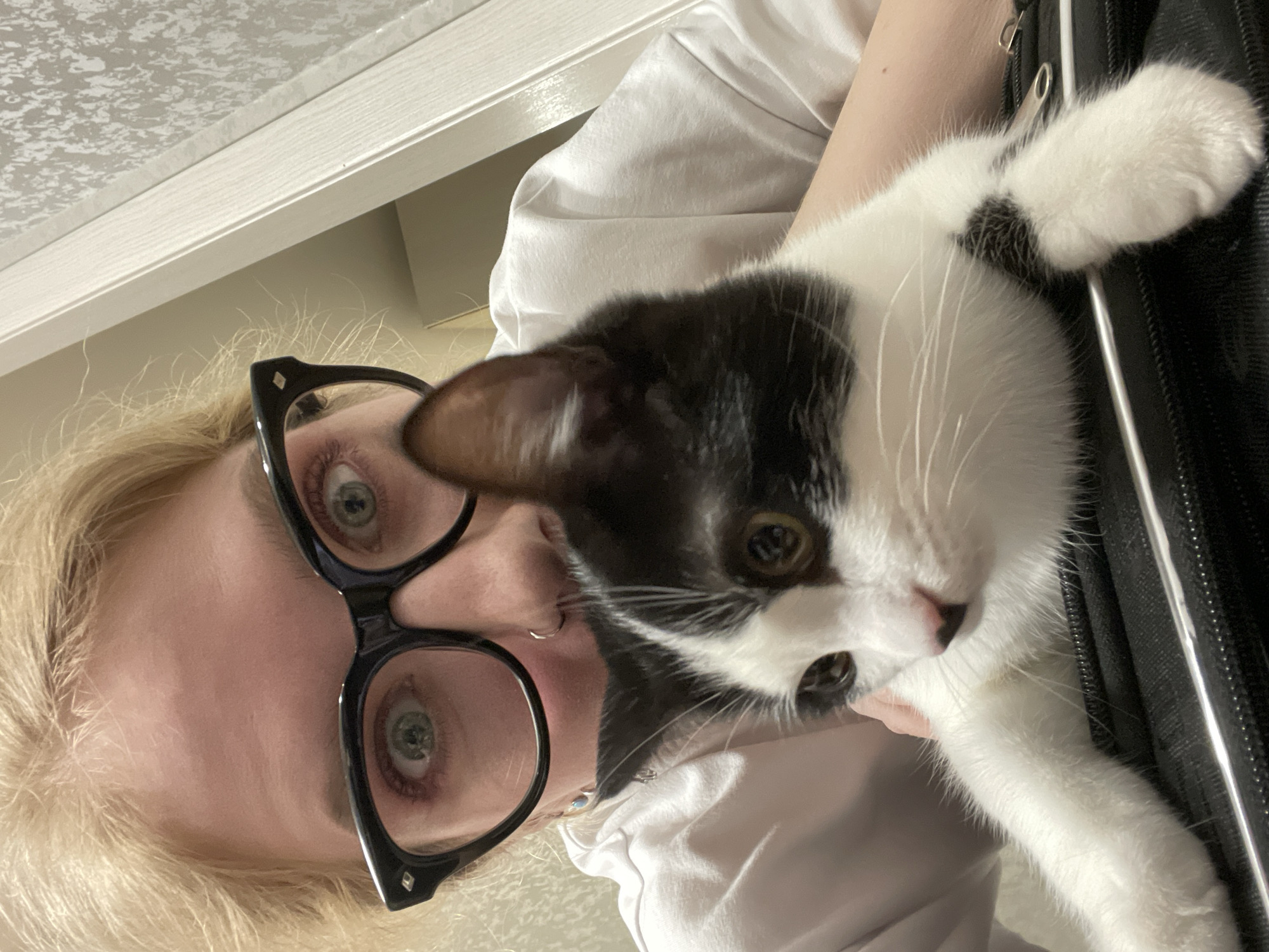 A person with blonde hair and black-framed glasses is holding a black and white cat. The person is wearing a white shirt. The cat is positioned close to the person's face. The background shows a white shelf and part of a black suitcase. There is no indication of Izhevsk, Russia in the image.
