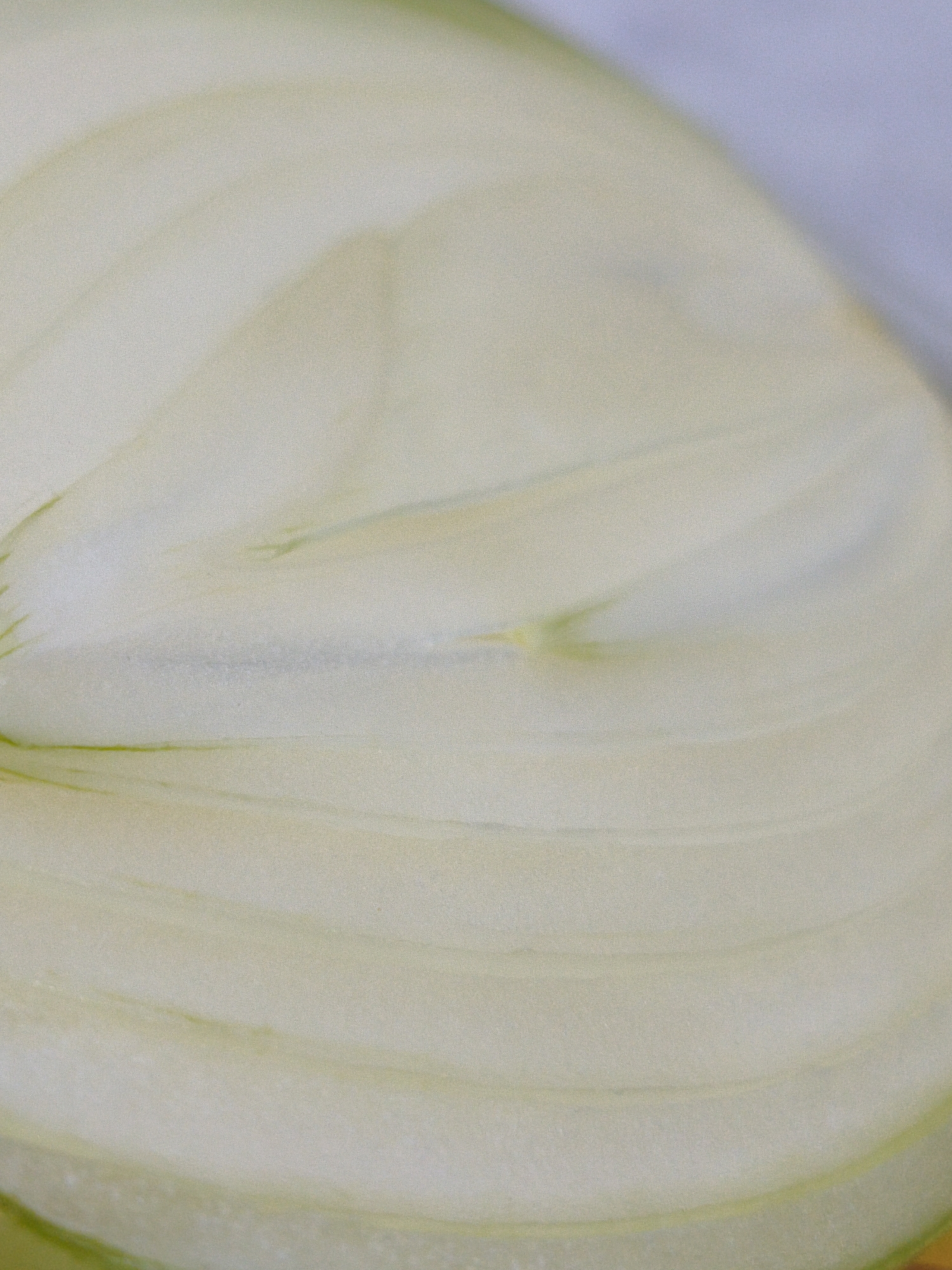 The image is a close-up, macro photograph of the interior of a sliced onion. The onion flesh is pale yellow and white, with visible layers and concentric rings. Subtle green lines, representing the onion's vascular bundles, run through the layers. The surface texture appears slightly moist and fibrous. The background is softly blurred, with areas of light blue and grey, suggesting an out-of-focus ambient environment. There are no people, actions, or interactions depicted. The location in Orenburg, Russia, is not discernible from the visual information provided in the image.
