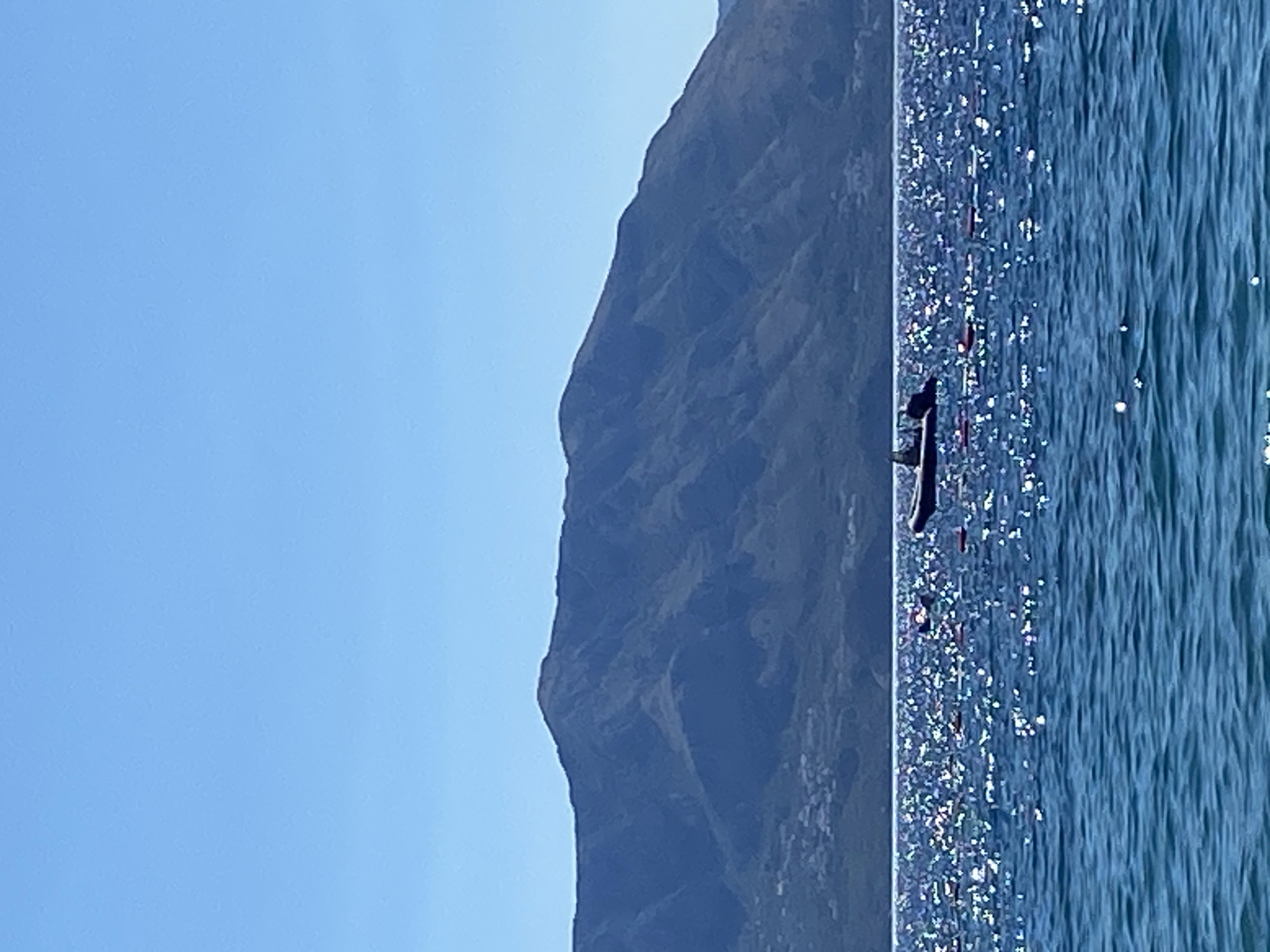 The image shows a bright, sunny day with a clear blue sky. In the foreground, the ocean is a deep blue, with sparkling light reflecting off the waves. In the mid-ground, a small black boat with two people is visible on the water. In the background, a large, dark mountain range dominates the horizon, with some scattered buildings visible at its base. The scene appears to be a coastal area, likely in the vicinity of Prijevor, Montenegro, given the presence of mountains and the sea.