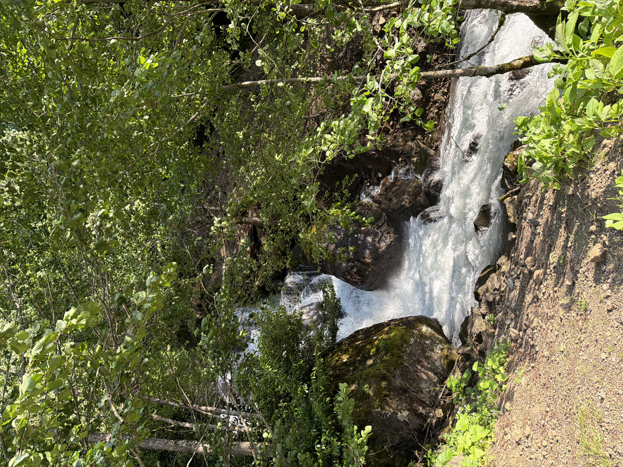 The image depicts a natural scene in Leburtskhila, Georgia, featuring a cascading waterfall and a surrounding forest. The waterfall, characterized by turbulent white water, flows between large, moss-covered rocks. Lush green foliage, including trees with dense leaves and smaller plants, frames the waterfall and the stream. The ground in the foreground consists of gravel and dirt, with scattered rocks and patches of grass. Sunlight filters through the trees, creating dappled light and shadow patterns on the ground and water. No people or structures are visible in the image.