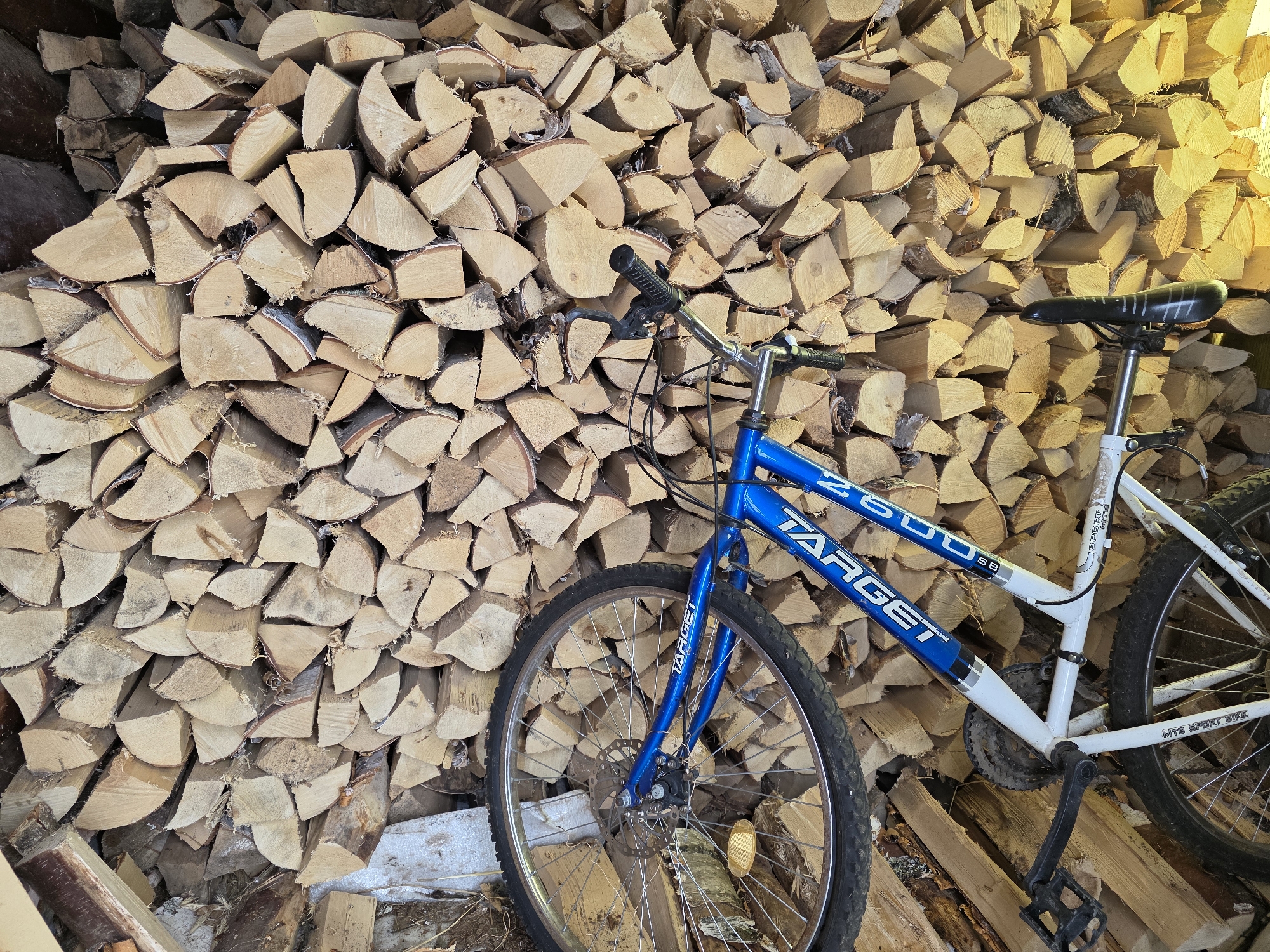The image shows a blue and white Target 2600 SB mountain bike leaning against a large stack of split firewood. The location is Chaikovsky, Russia, based on geographical references not visible in the image but provided as metadata. The firewood consists of pieces of split logs, stacked in a disorganized manner. The bike is positioned against the wood, its front wheel partially obscured by the wood pile. The environment suggests an outdoor setting, likely a wood storage area. No people are visible in the image.