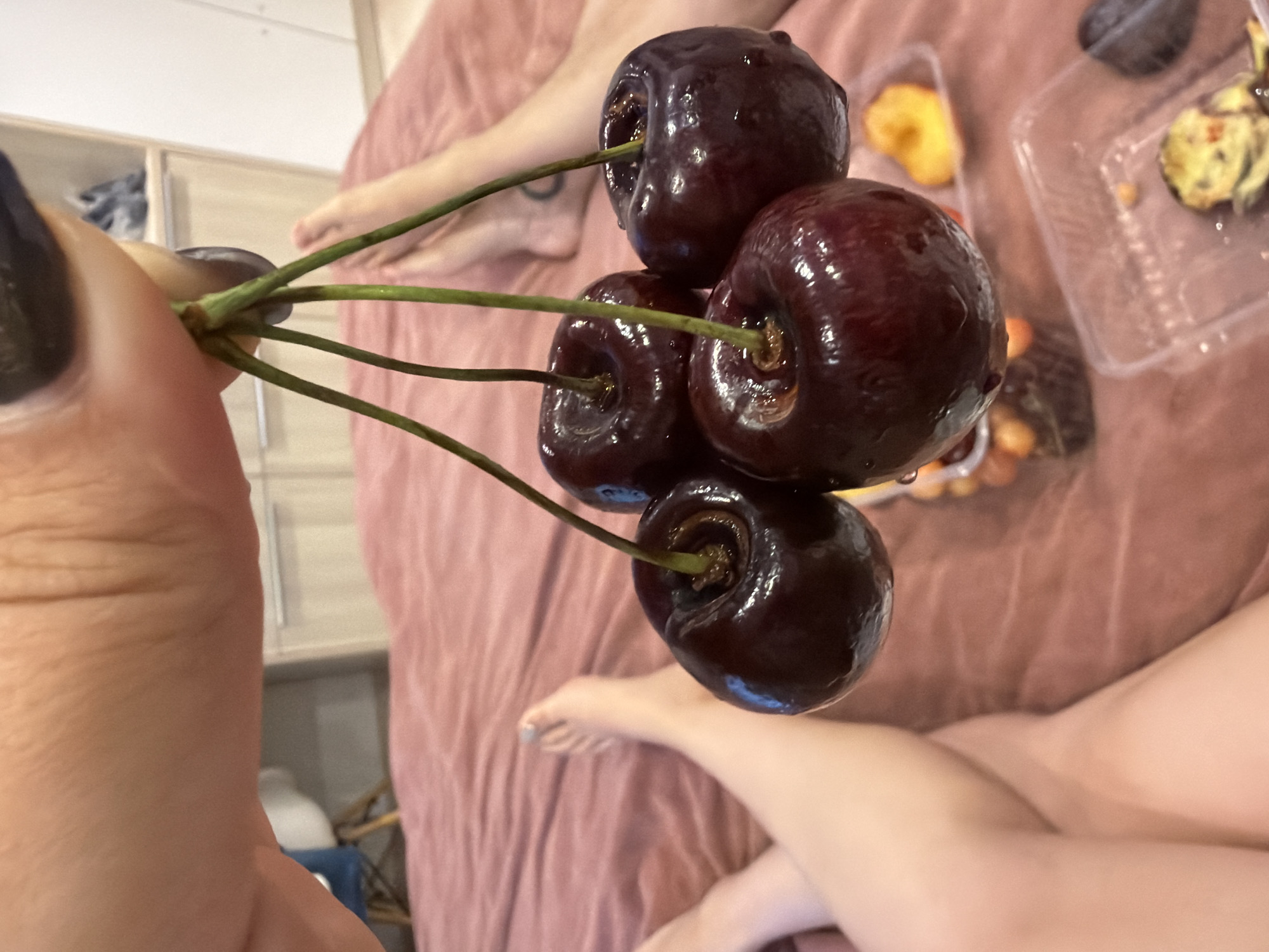 The image shows a close-up of a hand holding four dark red cherries with stems. The hand has dark nail polish. In the background, two people's legs are visible, lying on a pink, textured surface, possibly a bed. One person's feet are visible, with painted toenails. There are also clear plastic containers with fruit, including what appears to be sliced peaches and possibly plums, on the pink surface. The environment appears to be indoors, likely a bedroom or living space, and does not provide any specific visual cues to indicate a location in Saint Petersburg, Russia.