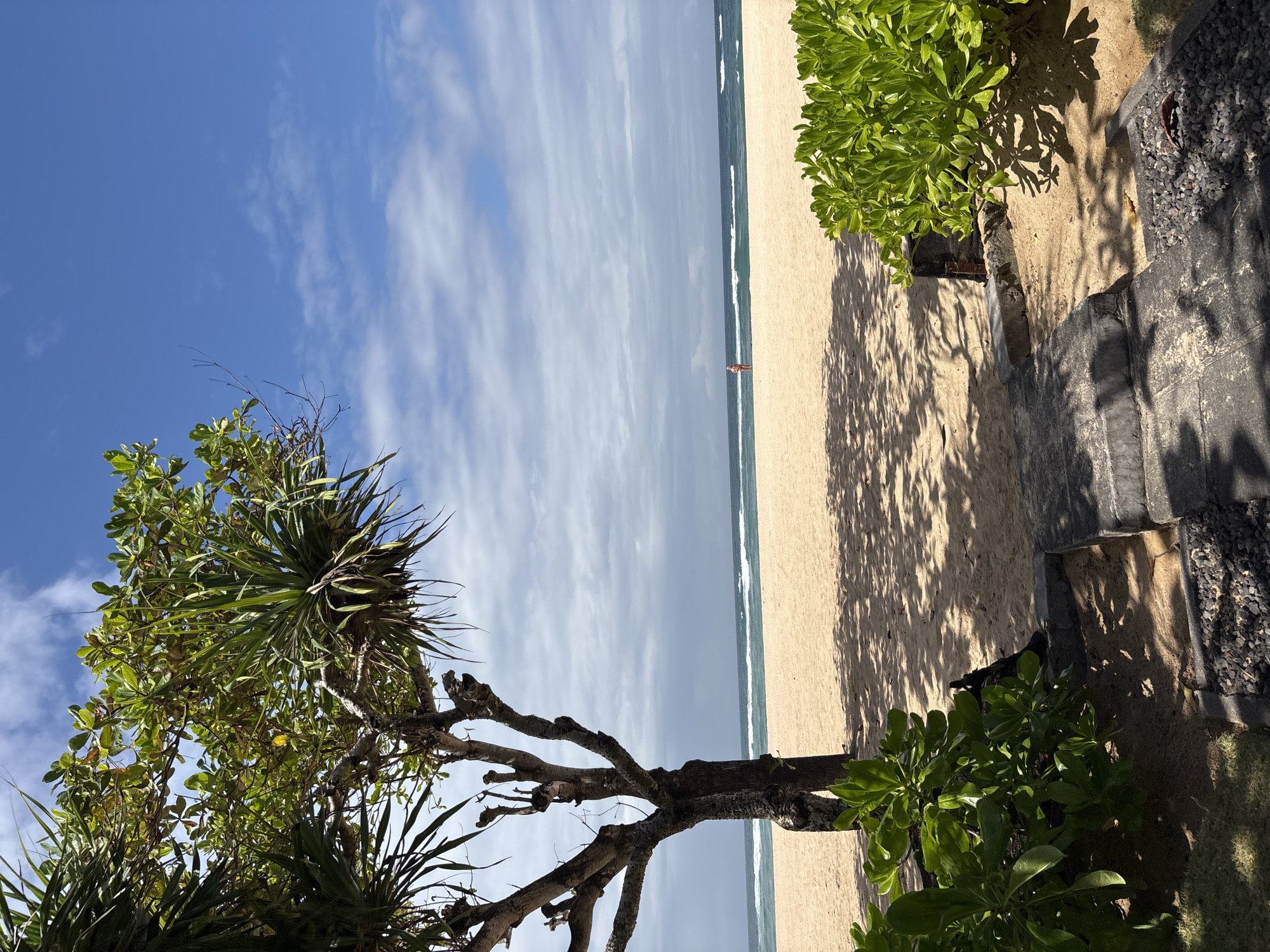 The image depicts a serene beach scene in Kuta Selatan, Indonesia. In the foreground, a tree with a gnarled trunk and leafy branches casts dappled shadows on the sandy ground. To the right, lush green bushes frame a pathway made of dark stones leading down to the beach. The sand is light brown and stretches towards the ocean. The sea is a calm turquoise with gentle waves breaking along the shore. A solitary figure, appearing to be a woman in a red swimsuit, stands on the sand near the water's edge, facing the ocean. The sky above is a clear blue with scattered white clouds, suggesting a pleasant day. The overall atmosphere is peaceful and tranquil, highlighting the natural beauty of the coastal environment.