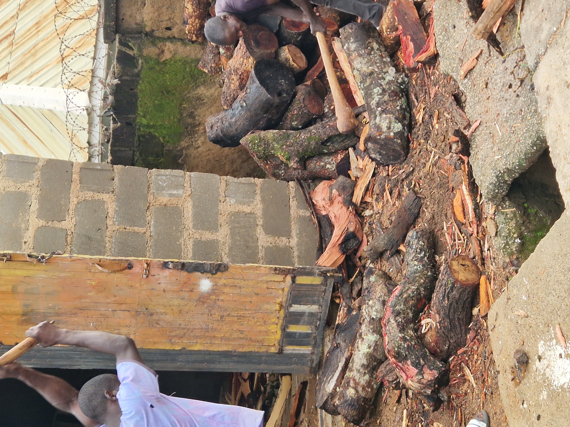 Two men are in the process of splitting logs with axes in an outdoor area that appears to be a storage or workshop space. The ground is covered with dirt, wood chips, and numerous split logs and pieces of wood. In the background, a weathered yellow door is visible, set within a cinder block wall. To the right of the door, another section of cinder block wall supports a metal roof with barbed wire along its top edge. One man, wearing a white t-shirt, is positioned to the left of the door, holding an axe raised above his head, presumably about to strike a log which is not fully visible. The second man, wearing a dark t-shirt and dark pants, is on the right side of the frame, actively swinging an axe to split a large log. He is smiling as he works. The overall environment suggests a manual labor activity related to woodworking or firewood preparation. The location is identified as Kabong, Nigeria.
