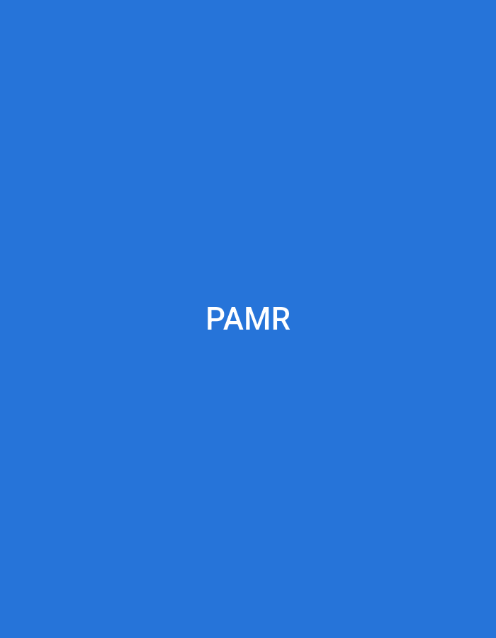 The image displays a minimalist digital graphic. The entire background is a solid, uniform shade of blue, with no discernible textures, patterns, or gradients. Centrally positioned within this blue field are the capital letters "PAMR" rendered in a white, sans-serif font. The letters are evenly spaced and appear to be horizontally and vertically centered within the frame. There are no other subjects, objects, people, animals, actions, or environmental details present in the image. The image provides no visual information to identify a specific geographical location, such as the city of Casablanca, Morocco, or any other real-world setting.