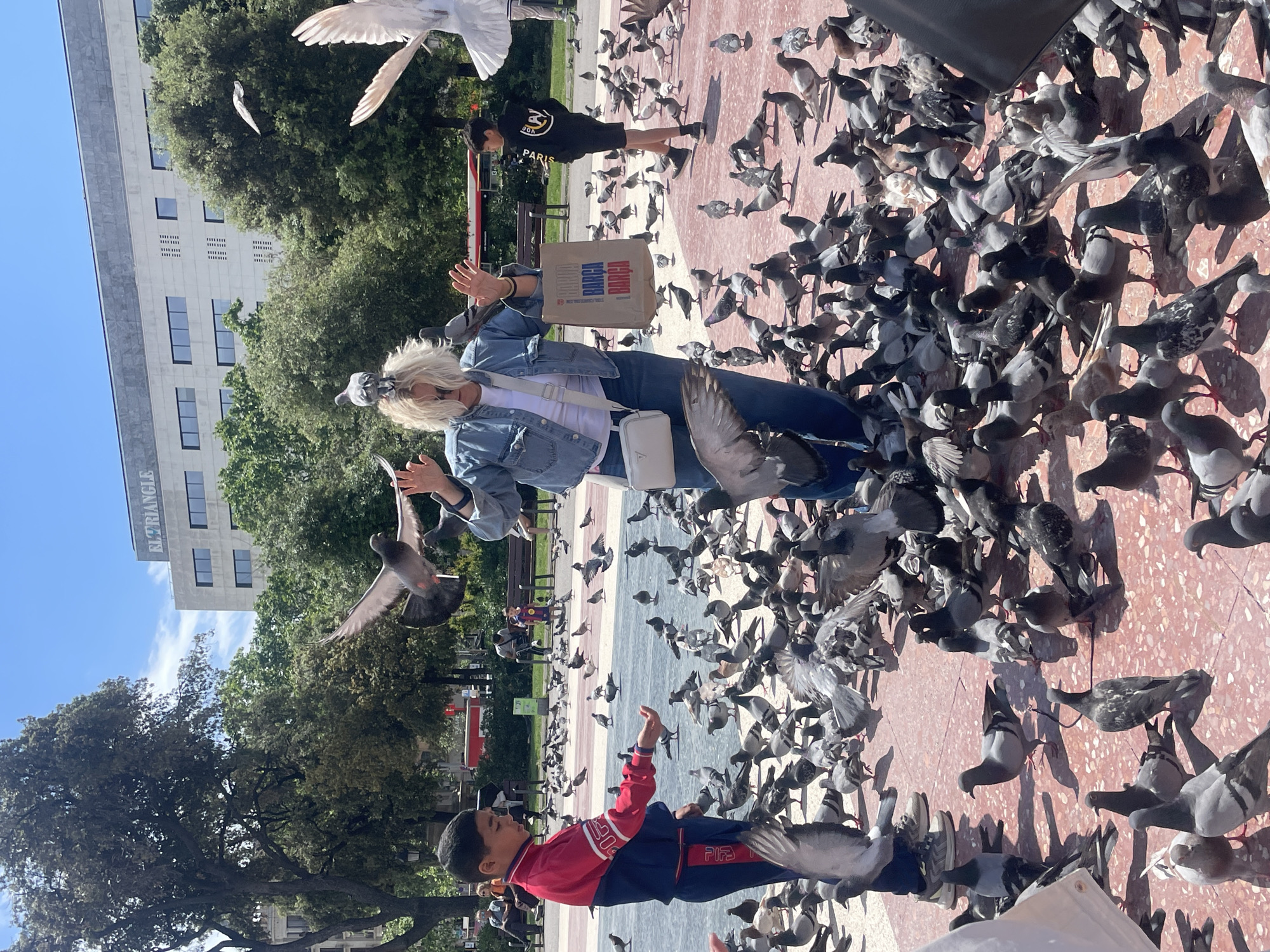 The image shows a crowded scene in what appears to be a public square in Barcelona, Spain, filled with a large flock of pigeons. In the foreground, an adult female wearing a denim jacket and holding a "Barca" branded paper bag is interacting with the pigeons, possibly feeding them. A young boy in a red and blue jacket is also present, with his arm raised, also interacting with the pigeons. A young adult, wearing a black sweatshirt with "Paris" on it, is in the background. The pigeons are densely packed on the ground, with several in flight. In the background, there is a building, "El Triangle," trees, benches, and other people. The ground is a mix of colored paving stones. The overall atmosphere suggests a sunny day in a popular tourist area.