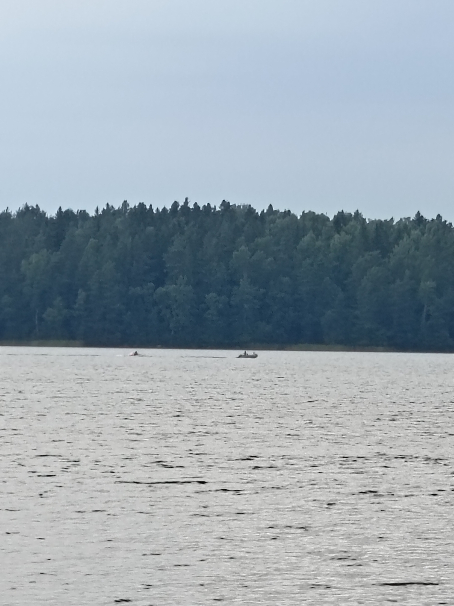 The image captures a serene, overcast day on a body of water, likely a lake, adjacent to a dense forest. In the middle ground, two small vessels are visible on the water. The vessel on the left appears to be a person swimming with an arm raised. To the right of this individual, a small motorboat is navigating the water, carrying at least two occupants. The background is dominated by a thick, dark green forest, characteristic of the northern regions of Russia, potentially near Zerkal'nyi, Russia, known for its numerous lakes and forests. The water's surface is rippled, reflecting the muted light of the sky.