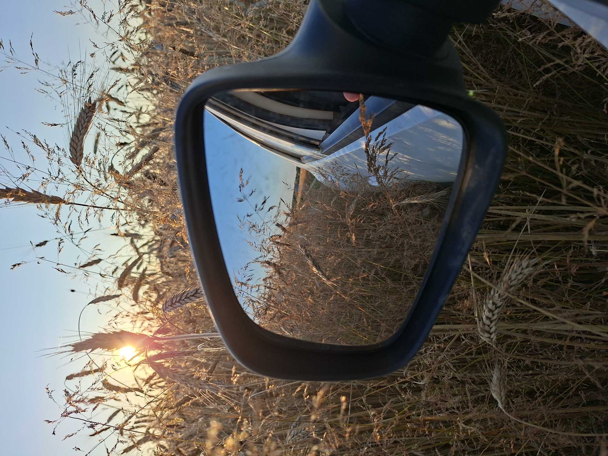 A close-up, eye-level shot captures a car's side mirror reflecting a rural scene during sunset. The mirror, framed by a black housing, shows a field of golden wheat stalks and a clear blue sky with the sun setting behind some of the stalks, casting a warm glow. The reflection also includes the side of a silver car with its windows slightly open, and a glimpse of a person's hand with a pinkish hue near one of the windows. The foreground is dominated by the textured wheat field, with some stalks encroaching on the view and blurring slightly due to their proximity to the camera. The overall impression is one of a serene, late summer evening in a rural landscape, possibly within the agricultural region of Славенскі сельскі Савет, Belarus.