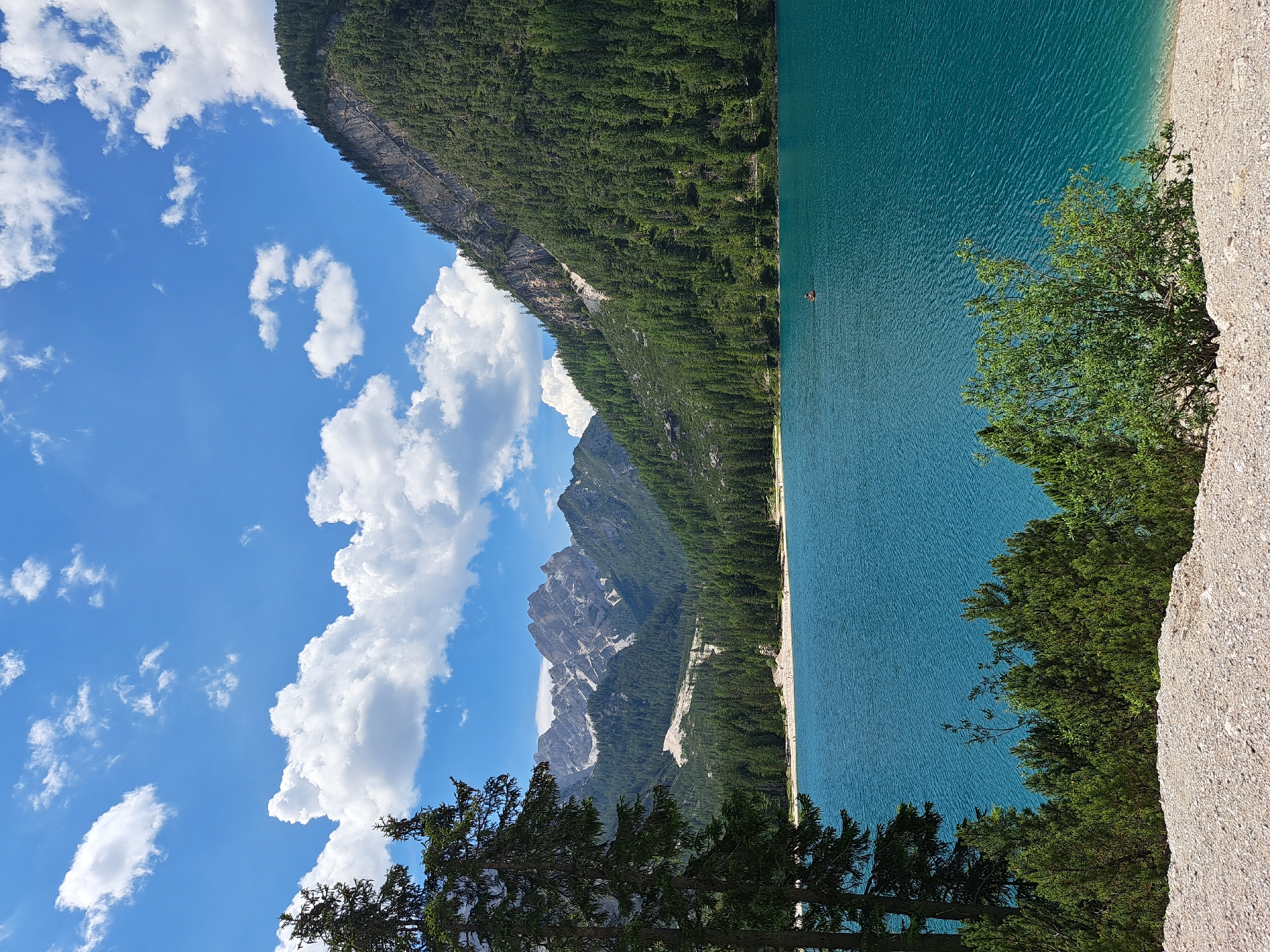The image shows a scenic view of a turquoise lake surrounded by a dense, green forest and rugged mountains. The sky above is a vibrant blue, dotted with fluffy white clouds, suggesting a clear, sunny day, likely in the late morning or early afternoon given the bright lighting.
The lake's surface is rippled, indicating a gentle breeze. A small, dark figure, possibly a person in a boat or kayak, is visible on the water in the distance, adding a sense of scale to the vastness of the lake. The shoreline on the right side of the image is composed of light-colored gravel or sand, with a few green trees growing along the edge.
On the left side of the image, a steep mountain slope is covered in a thick carpet of pine trees. The lower part of the slope is more rocky and barren, with dramatic, jagged peaks rising further into the background. A faint wispy cloud or mist appears to be clinging to one of the mountain peaks.
In the foreground, several evergreen trees with dark green needles partially frame the view, suggesting the viewer is standing on a natural vantage point. The overall atmosphere is one of natural beauty and tranquility. There is no visible text in the image.