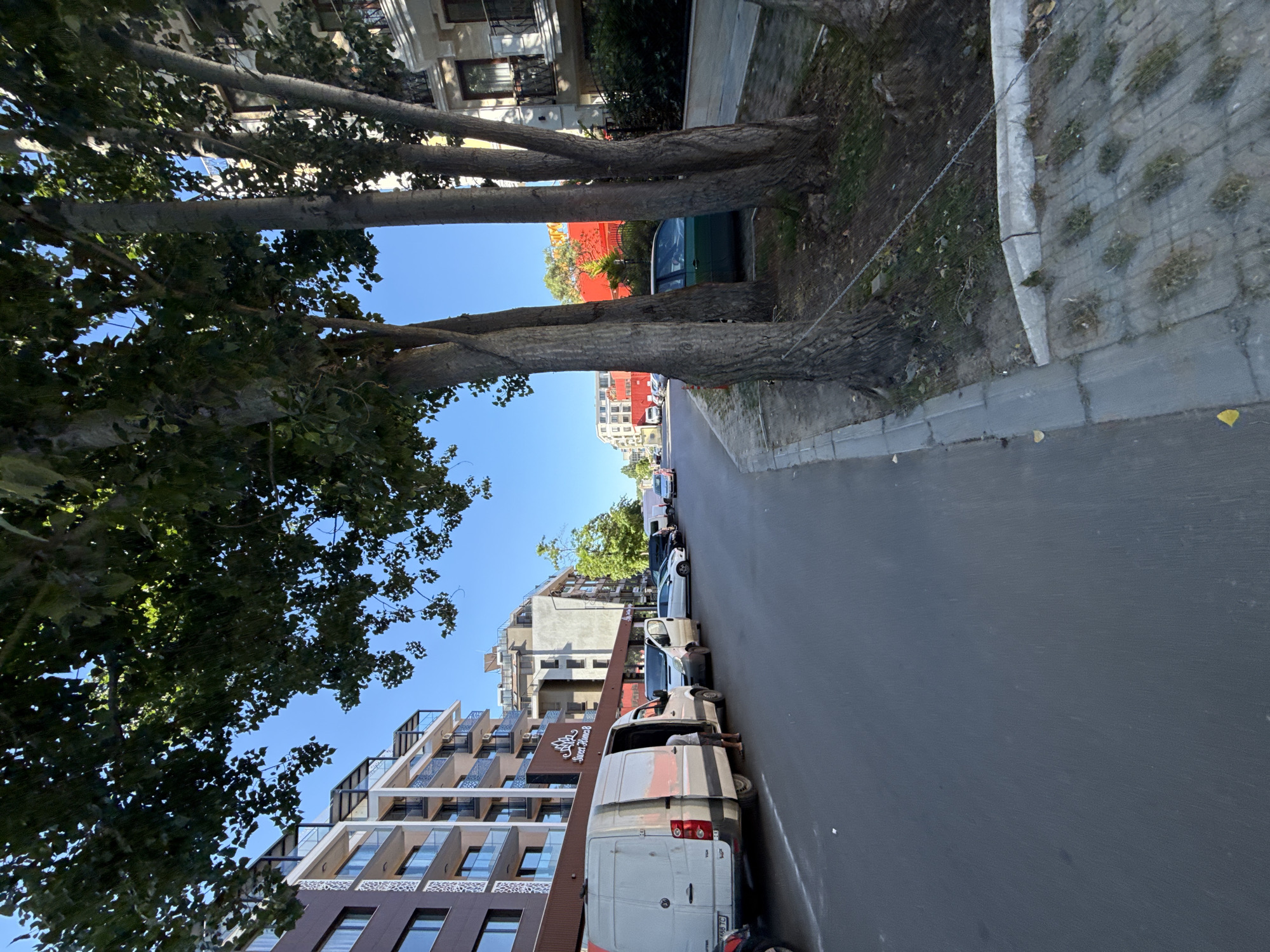 The image depicts a street scene in Nesebar, Bulgaria. A paved road runs horizontally, with several parked vehicles on its right side. These include a white van with its rear door open, a smaller white van, a white sedan, a black sedan, and a green car. On the left side of the road, a modern building with multiple balconies and dark-colored siding is visible. Further down the street, more buildings and trees line the road under a clear blue sky. A row of mature trees with large trunks stands between the road and a sidewalk on the right. The ground on the sidewalk appears to be paved with interlocking blocks, some of which have grass growing through them. The overall scene suggests a residential or commercial area in a town.