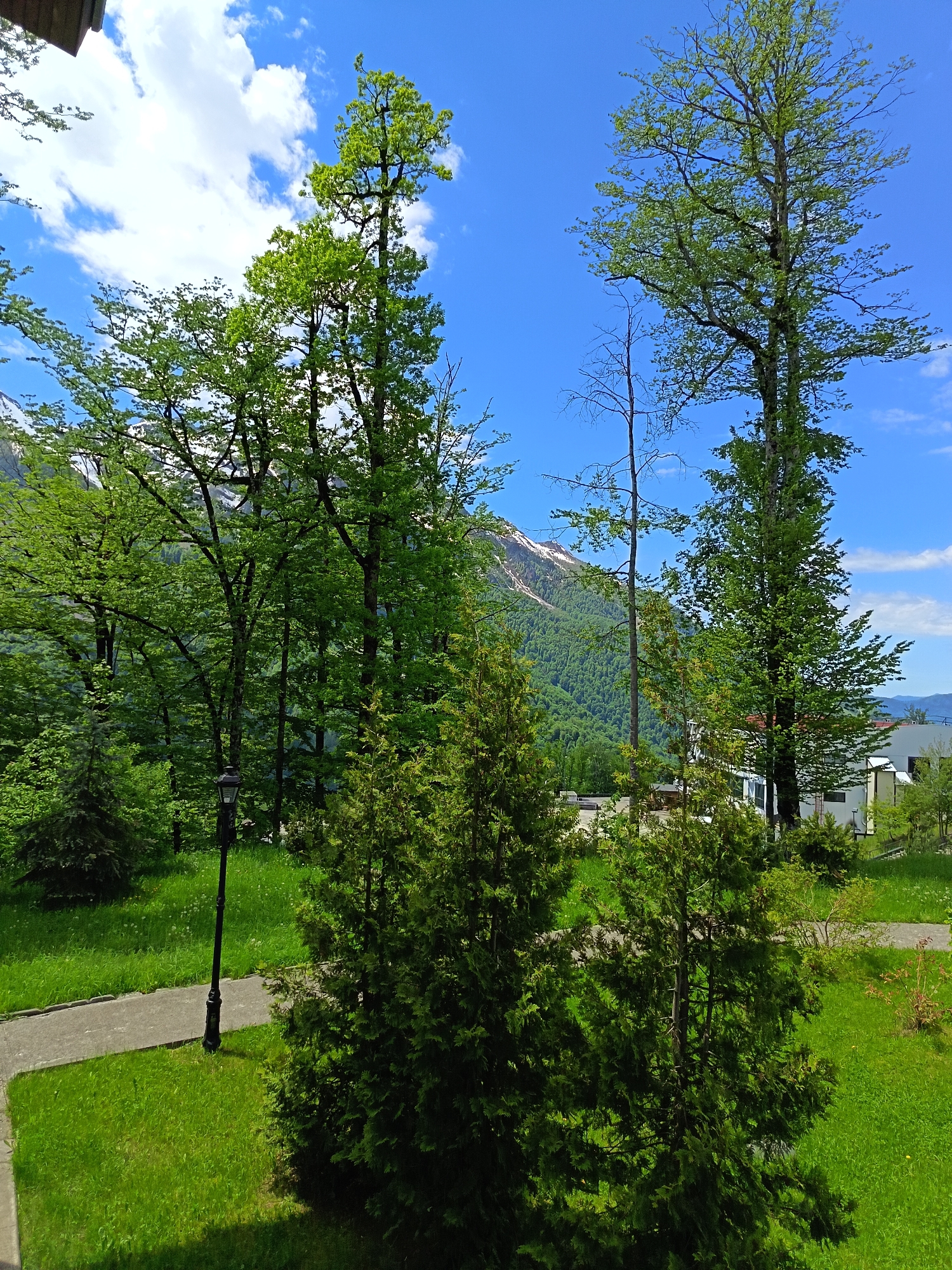This media file presents a vibrant landscape scene in Estosadok, Russia, characterized by lush greenery, distant mountains, and a clear sky.
The scene is dominated by a variety of trees. In the foreground and midground, several tall deciduous trees with bright, fresh green foliage reach towards the sky, indicating springtime or early summer. Their branches form intricate patterns against the blue. Evergreen shrubs, possibly thujas, are prominent in the lower part of the frame, providing a darker green contrast. A dense forest covers the mid-slopes of the mountains in the background.
A black, ornate lamppost stands on a well-maintained grassy area in the lower left, adjacent to a curved paved pathway. This suggests a landscaped park or garden environment. Beyond some of the trees, in the mid-distance to the right, a few modern buildings with light-colored facades are visible, nestled within the natural surroundings.
The most striking feature of the background is the majestic mountain range, with snow still covering its peaks, contrasting with the vibrant green of the lower, forested slopes. The sky is a brilliant blue with scattered, fluffy white cumulus clouds, indicating fair weather and bright sunshine. The time of day appears to be late morning or early afternoon, given the strong illumination. There is no discernible activity taking place, as the image captures a static natural and semi-urban landscape. No visible text is present in the image.
