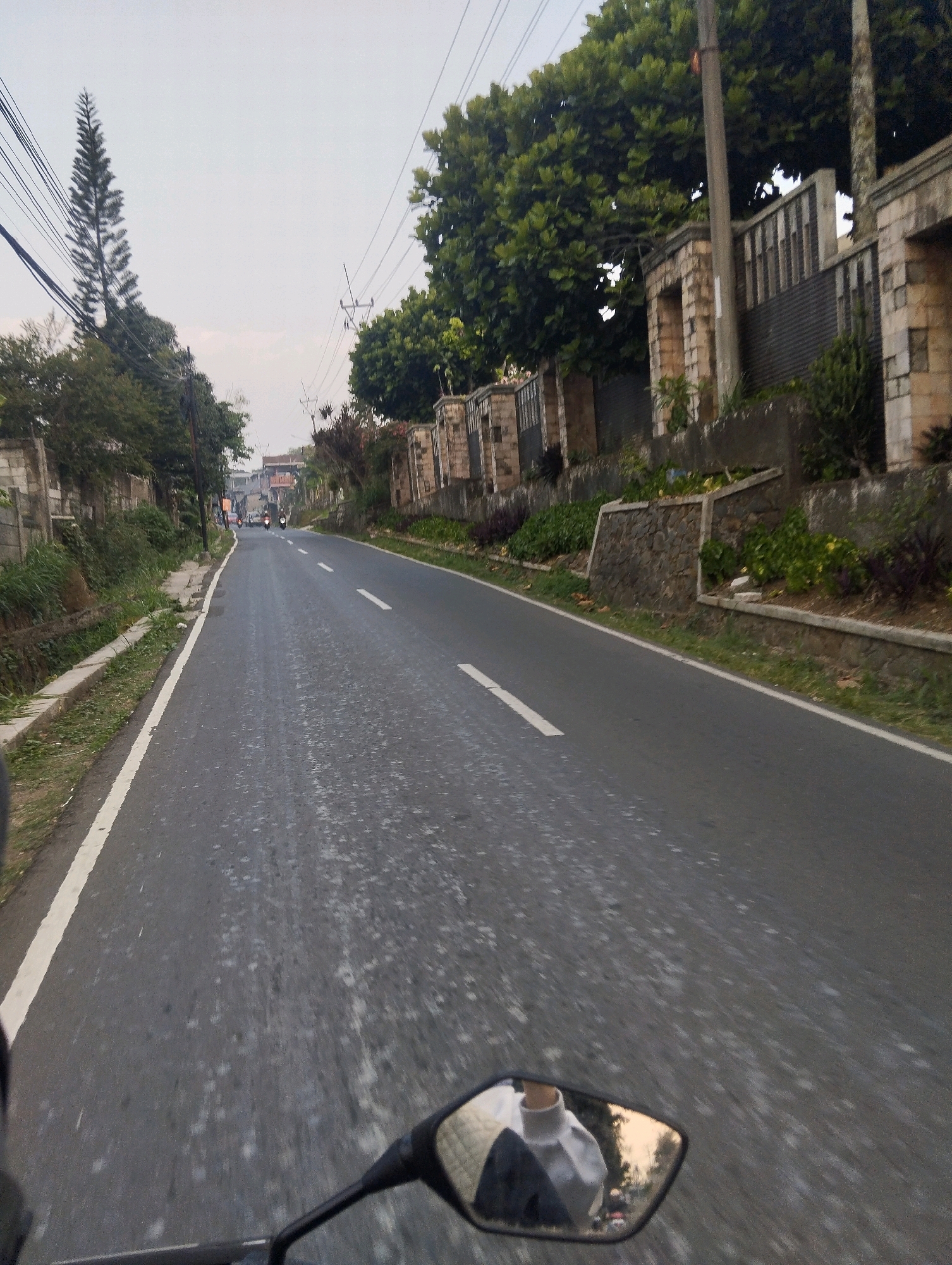The image captures a road scene in the city of Megamendung, Indonesia. The perspective is from a moving vehicle, likely a motorcycle, as indicated by the presence of a rearview mirror in the foreground. The road itself is asphalt, with white lane markings. The environment is characterized by lush green trees lining both sides of the road, some with dense foliage, and a tall, slender pine tree on the left. Stone walls and fences, built with rough-hewn stones and concrete, delineate property boundaries along the right side of the road. Some of these structures appear to be residential or part of a larger estate. A few motorcycles are visible further down the road, indicating traffic. The sky is overcast with a pale, diffused light, suggesting it might be early morning or late afternoon. The overall impression is of a semi-urban or suburban road, possibly in a hilly or mountainous region given the vegetation and construction style.