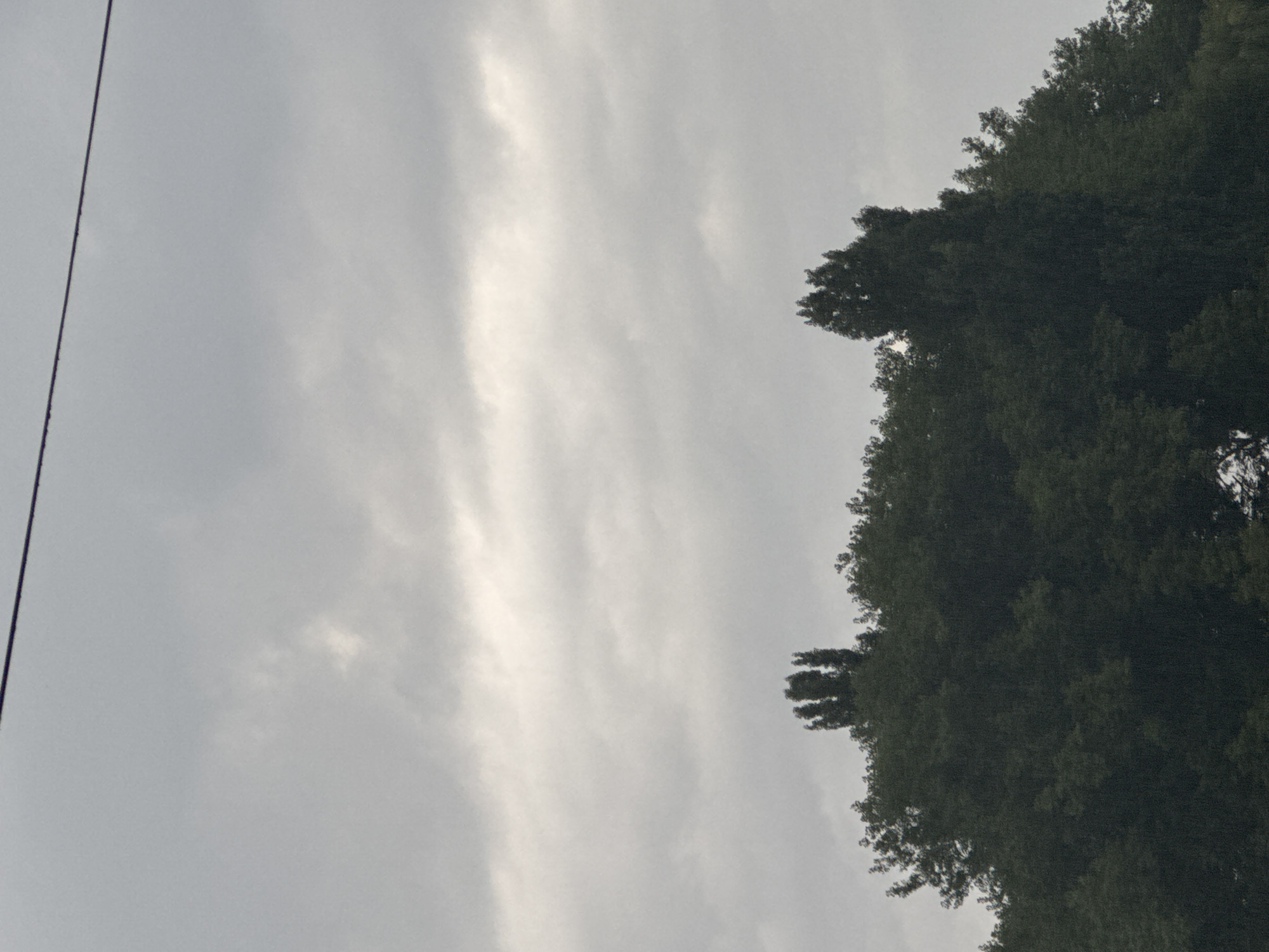 The image displays a grey, overcast sky with textured clouds. A thin, dark line, likely a wire, bisects the upper portion of the frame horizontally. Below the sky, a dense canopy of dark green trees dominates the lower half of the image. Two distinct, tall, and slender trees with a columnar shape rise above the general treeline in the center. The overall impression is a natural landscape under a cloudy sky, with no discernible urban elements or human presence. There is no information available to specify a location in Yessentuki, Russia.