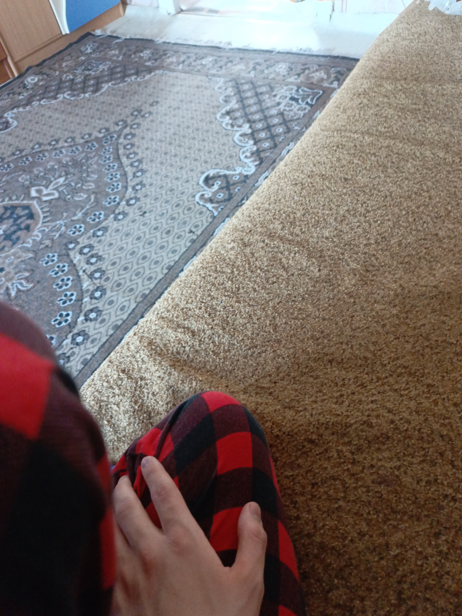 The image shows a person wearing red and black checkered pants sitting on a carpet. There are two distinct carpet types visible: one is a brown, textured carpet, and the other is a gray rug with a patterned design. The person's hand rests on their leg. There is no information to indicate a location in Большой Букор, Russia.