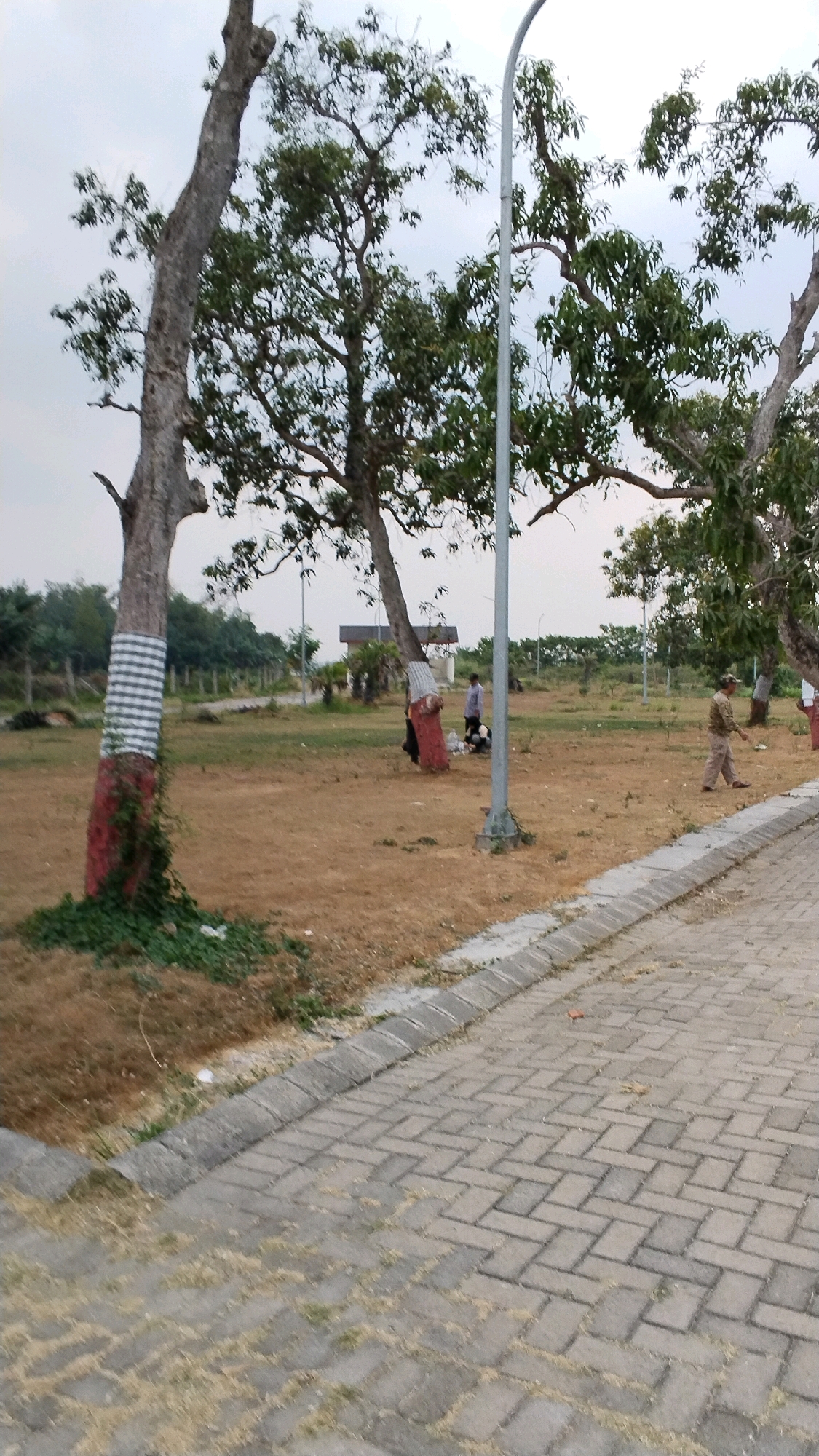 The image depicts an outdoor scene in Blooto, Indonesia, featuring a paved walkway lined with grass and trees. In the foreground, a brick pathway curves to the right, bordered by a concrete curb and sparse dry grass. Several trees are scattered throughout the scene, with some exhibiting red and white painted markings on their trunks. In the mid-ground, a street lamp stands near two trees. Two individuals are visible: one person in a light-colored shirt stands near a small building or shelter, and another person in a beige uniform walks away from the camera towards the right side of the image. The background consists of more trees and vegetation, with a cloudy sky overhead. The overall environment suggests a park or public outdoor space.