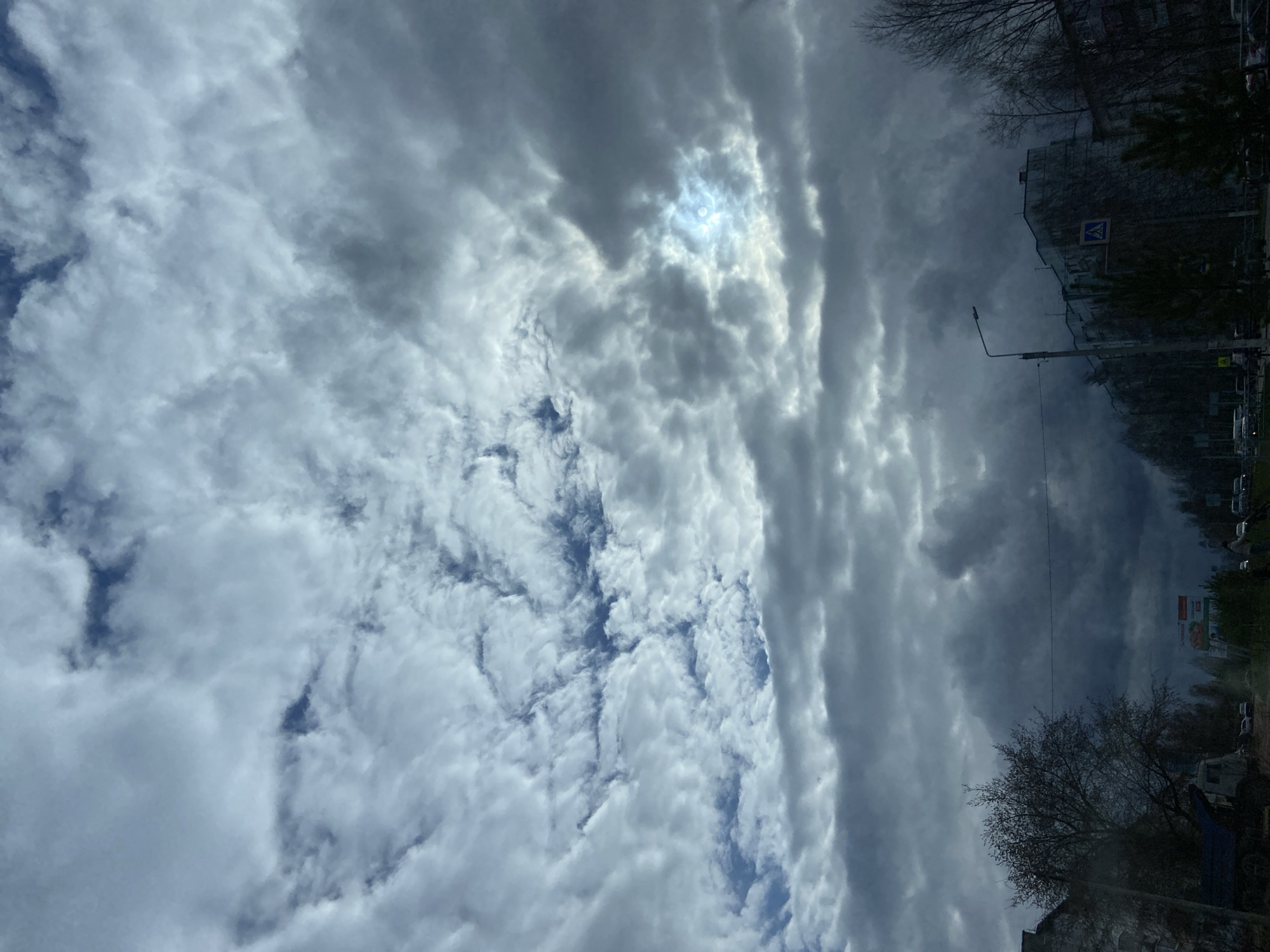 The image displays an overcast daytime scene of an urban environment, primarily focusing on a dramatic sky. The perspective is rotated 90 degrees counter-clockwise. When viewed correctly, the sky occupies the upper portion, while a street scene is visible along the bottom.
The sky is filled with a dense, textured array of clouds. Predominantly, thick, dark grey clouds stretch across the frame, suggesting heavy overcast conditions. A prominent feature is a bright, luminous patch where the sun's light diffuses through the cloud cover, creating a strong highlight. Towards the lower left (when correctly oriented), lighter, wispier white clouds with clear contours reveal patches of blue sky peeking through.
Along the bottom of the frame, an urban street scene unfolds. Buildings, appearing somewhat dark against the brighter sky, line what seems to be a road. Leafless trees with intricate bare branches are scattered along the roadside, indicating a season like late autumn, winter, or early spring. Some areas of denser, greener foliage are also visible. A tall street light pole extends upwards into the cloudy sky. A blue square sign depicting a white triangle with a walking person, indicating a pedestrian crossing, is clearly visible on the facade of one of the buildings. In the far distance on the right, a large billboard is present, though its text is indistinct and largely unreadable.
The scene captures the muted light of a heavily clouded day in a city, with no specific activity taking place beyond the general backdrop of urban life in Chaikovsky, Russia.