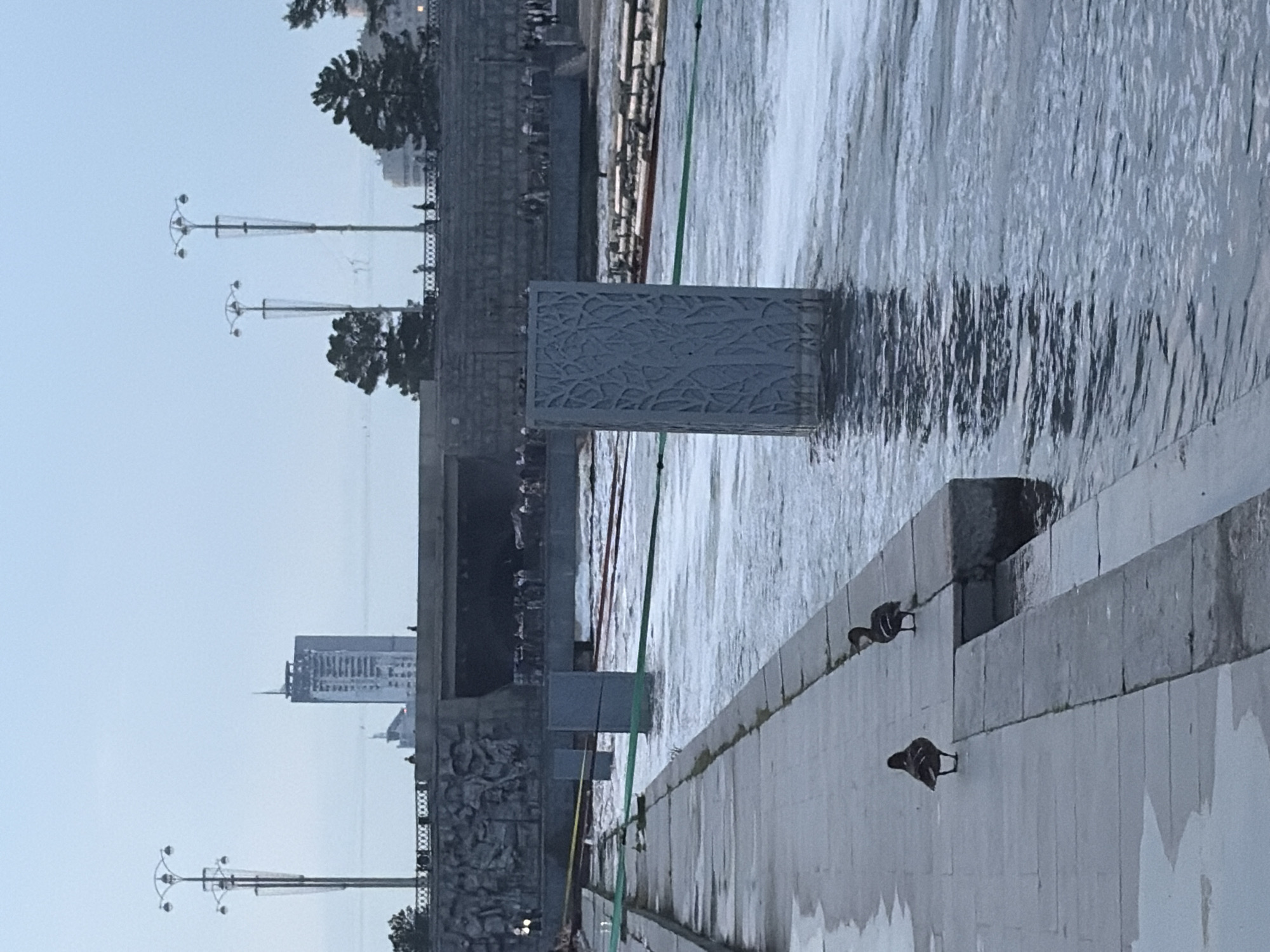 This is a photograph taken at the V.V. Kuibyshev embankment in Yekaterinburg, Russia, on a cloudy day. In the foreground, a paved walkway runs alongside a river. Two ducks are visible on the walkway. In the river, there is a decorative pillar with a tree motif, and several orange booms and green ropes are floating, suggesting ongoing work or maintenance. Across the river, a bridge with decorative stone carvings is visible, with people gathered on it and on the embankment beyond. In the background, a tall skyscraper stands against the overcast sky, with other buildings and trees also present. The overall scene depicts an urban waterfront area with elements of both public space and potential construction or repair activity.