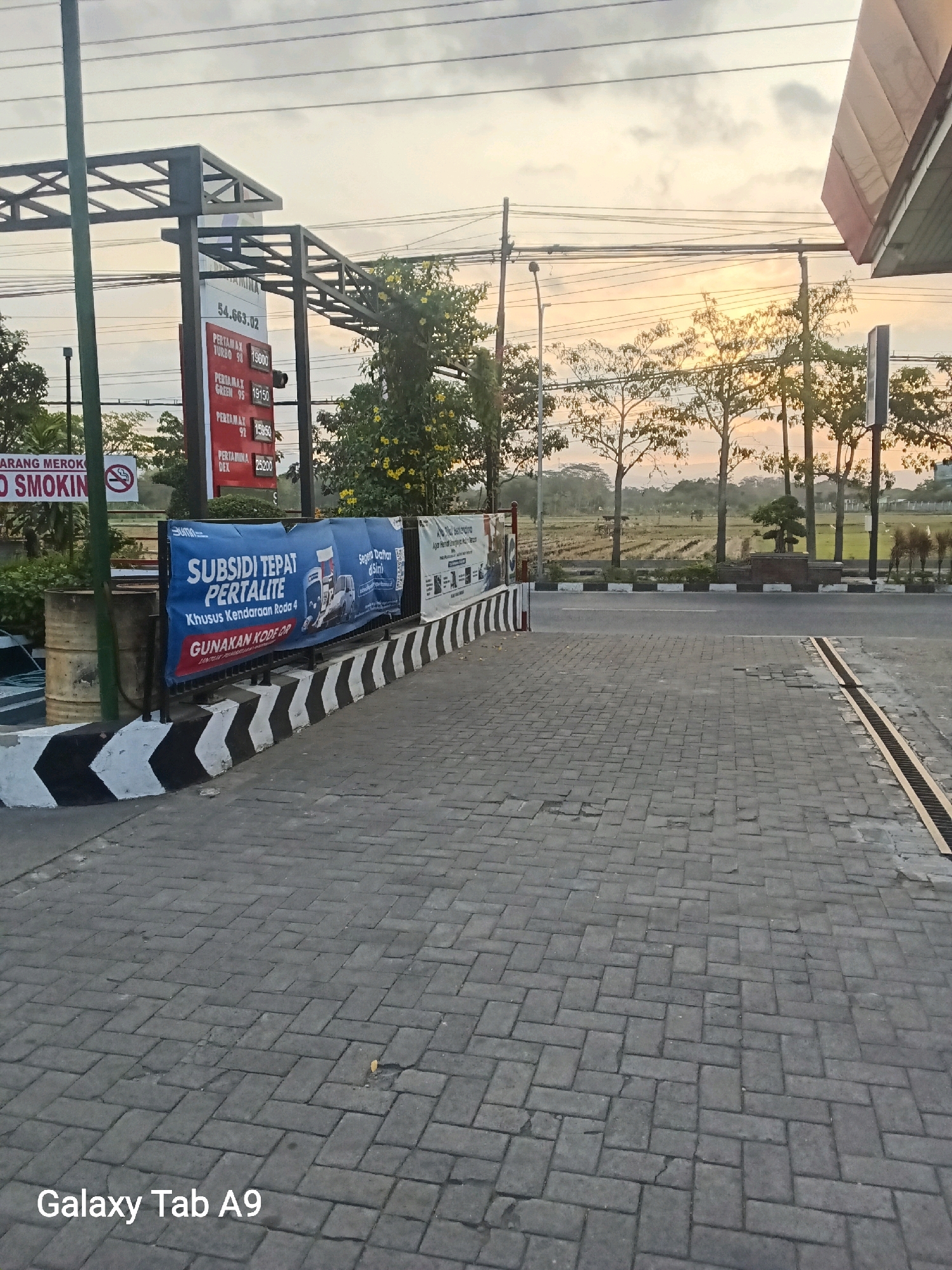 The image depicts an outdoor scene at what appears to be a gas station in Trenggalek, Indonesia, during a sunrise or sunset. A prominent red sign displays fuel prices, with "PERTAMAX TURBO 98" at 19,600, "PERTAMAX GREEN 95" at 19,150, "PERTAMAX 92" at 15,950, and "PERTAMINA DEX" at 25,200. Two blue banners are displayed, one reading "SUBSIDI TEPAT PERTALITE Khusus Kendaraan Roda 4 GUNAKAN KODE QR". A "DILARANG MEROKOK" (No Smoking) sign is also visible. The foreground consists of a paved walkway made of interlocking gray bricks. In the background, there are trees, power lines, and a field of rice paddies. The sky is overcast with soft, warm light indicating the time of day. There are no people visible in the frame.