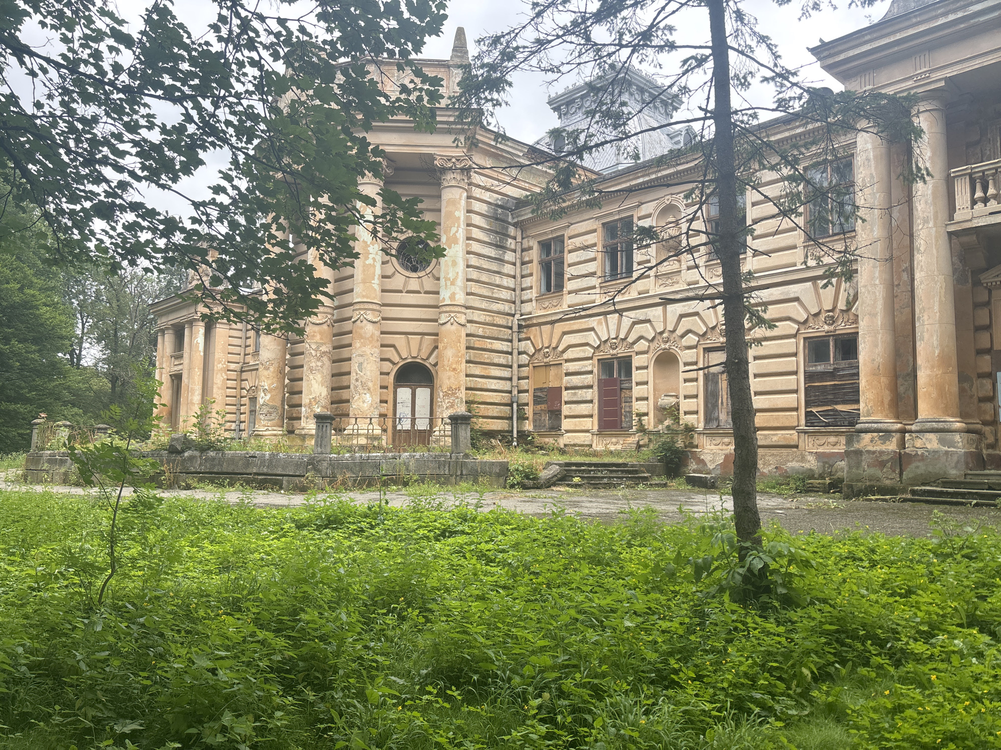 The image depicts the exterior of a dilapidated, two-story building with classical architectural elements, located in Koropets, Ukraine. The facade is characterized by weathered, ochre-colored walls, large columns, and numerous windows, some of which are boarded up or broken. The building appears to be abandoned, with overgrown vegetation encroaching on the grounds. In the foreground, a dense patch of lush green grass and plants covers the area, with a slender tree trunk partially obscuring the building from view. The sky above is overcast, contributing to the somber atmosphere of the scene.